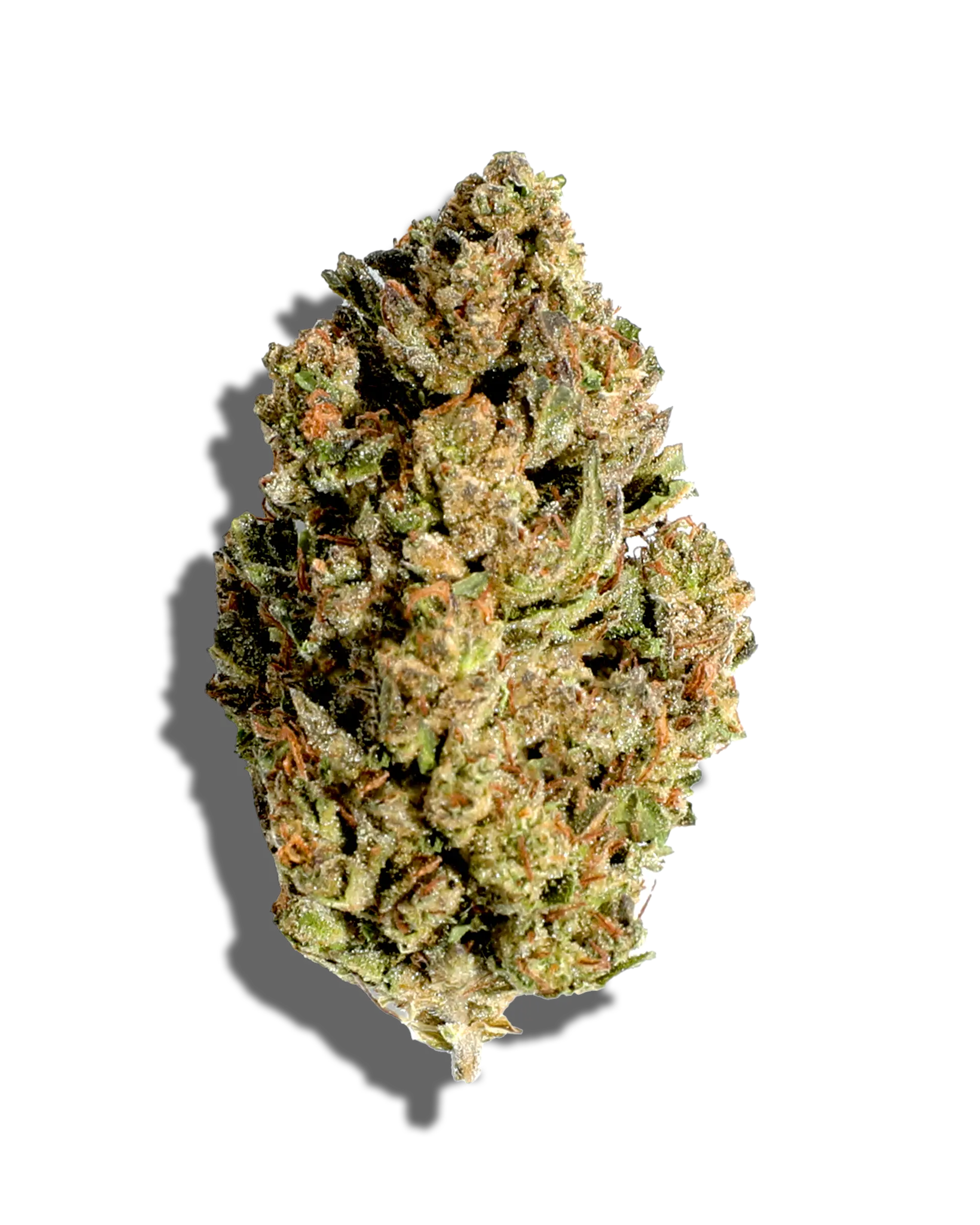 Sungrown Fatso 3.5g