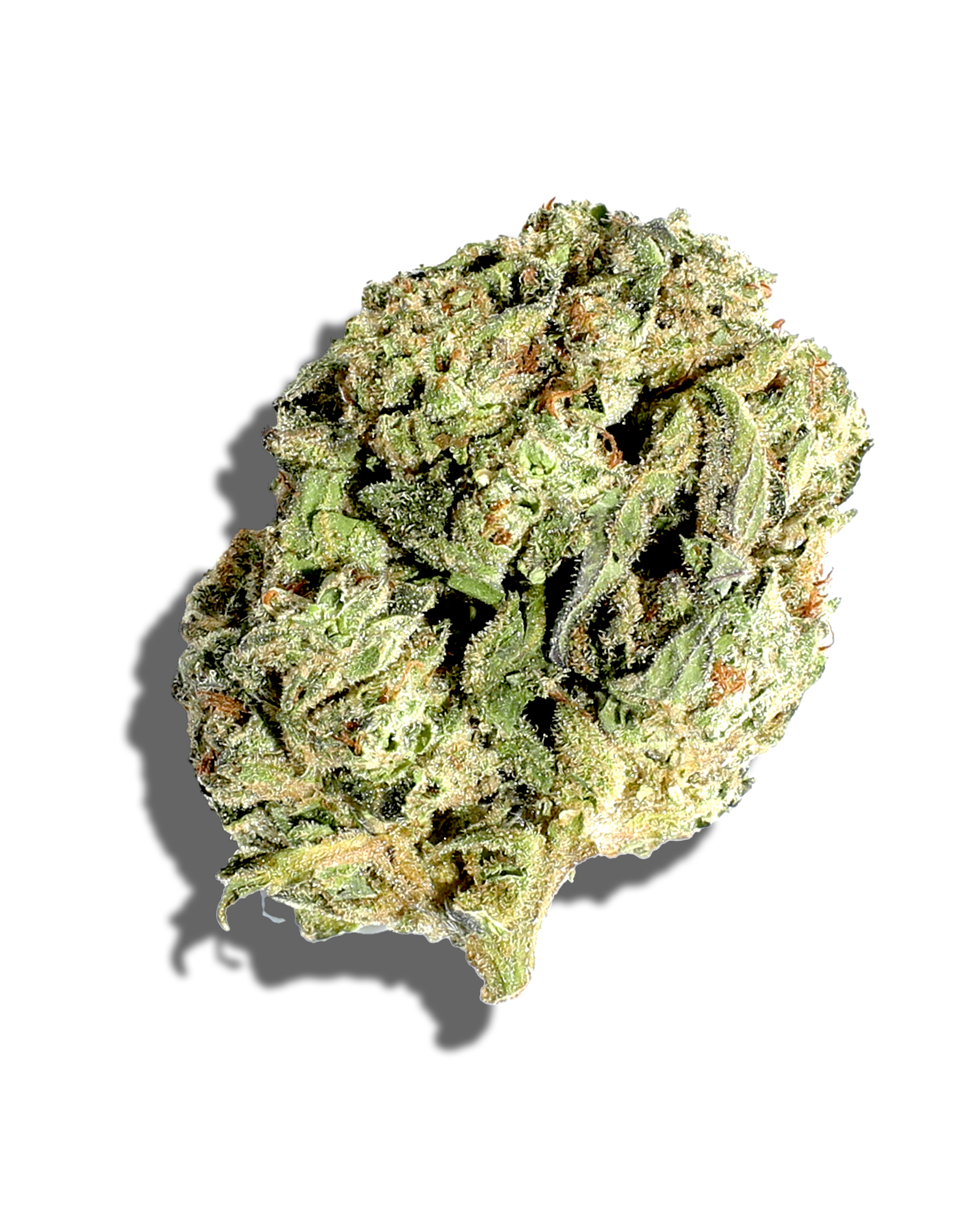 Sungrown Moby Dick 1oz, 1 of 3