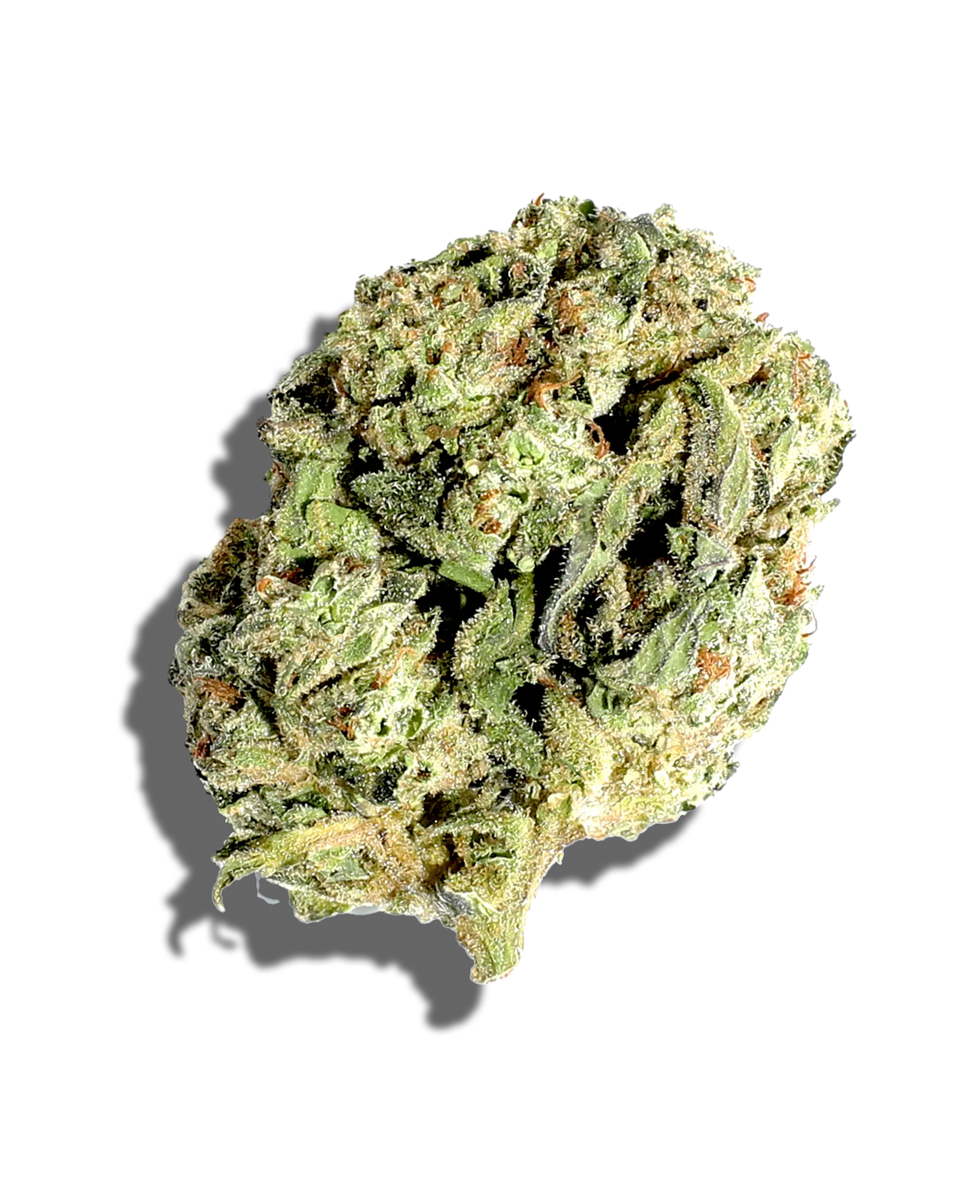 Sungrown Moby Dick 1oz