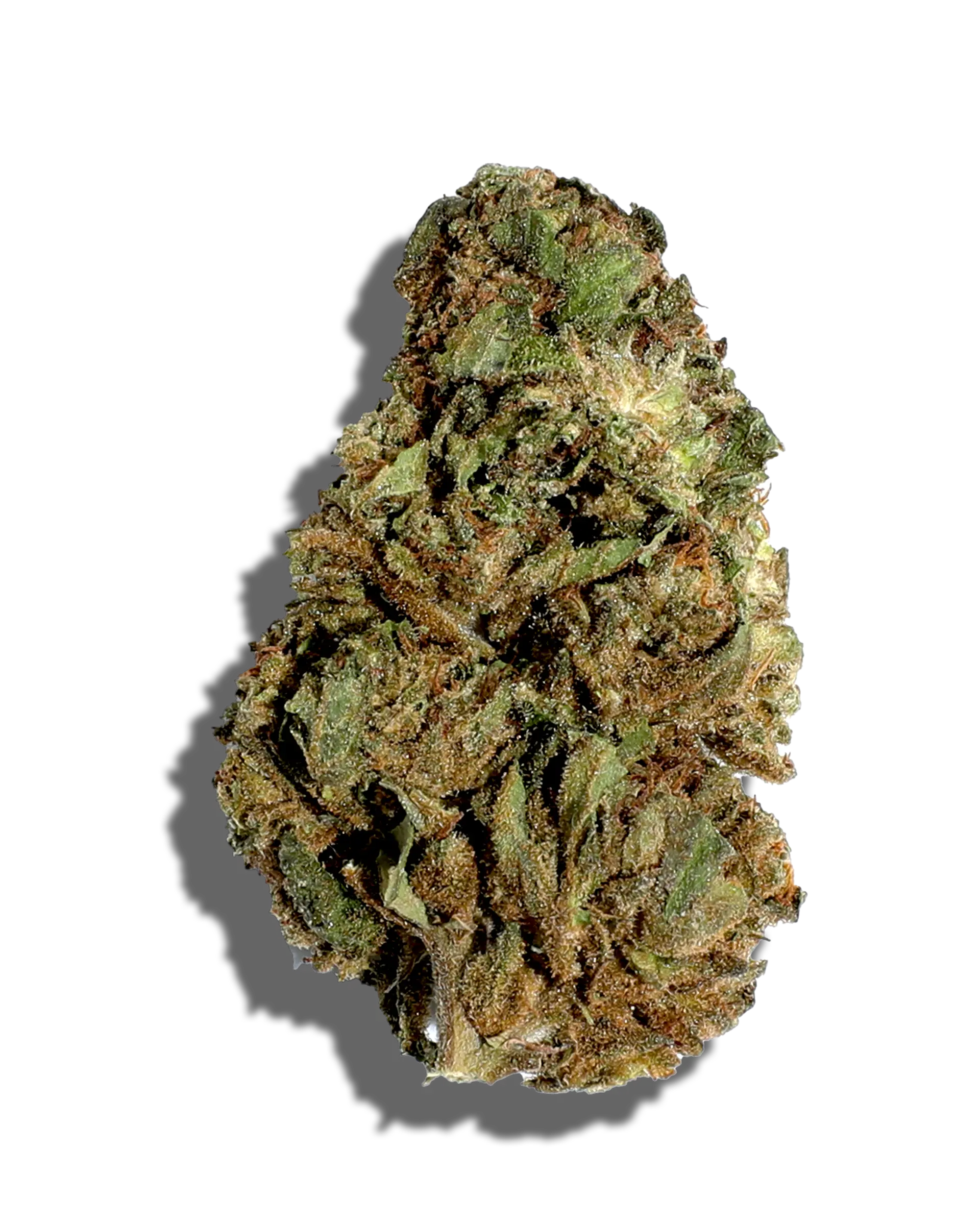 Sungrown Galactic Gas 1oz