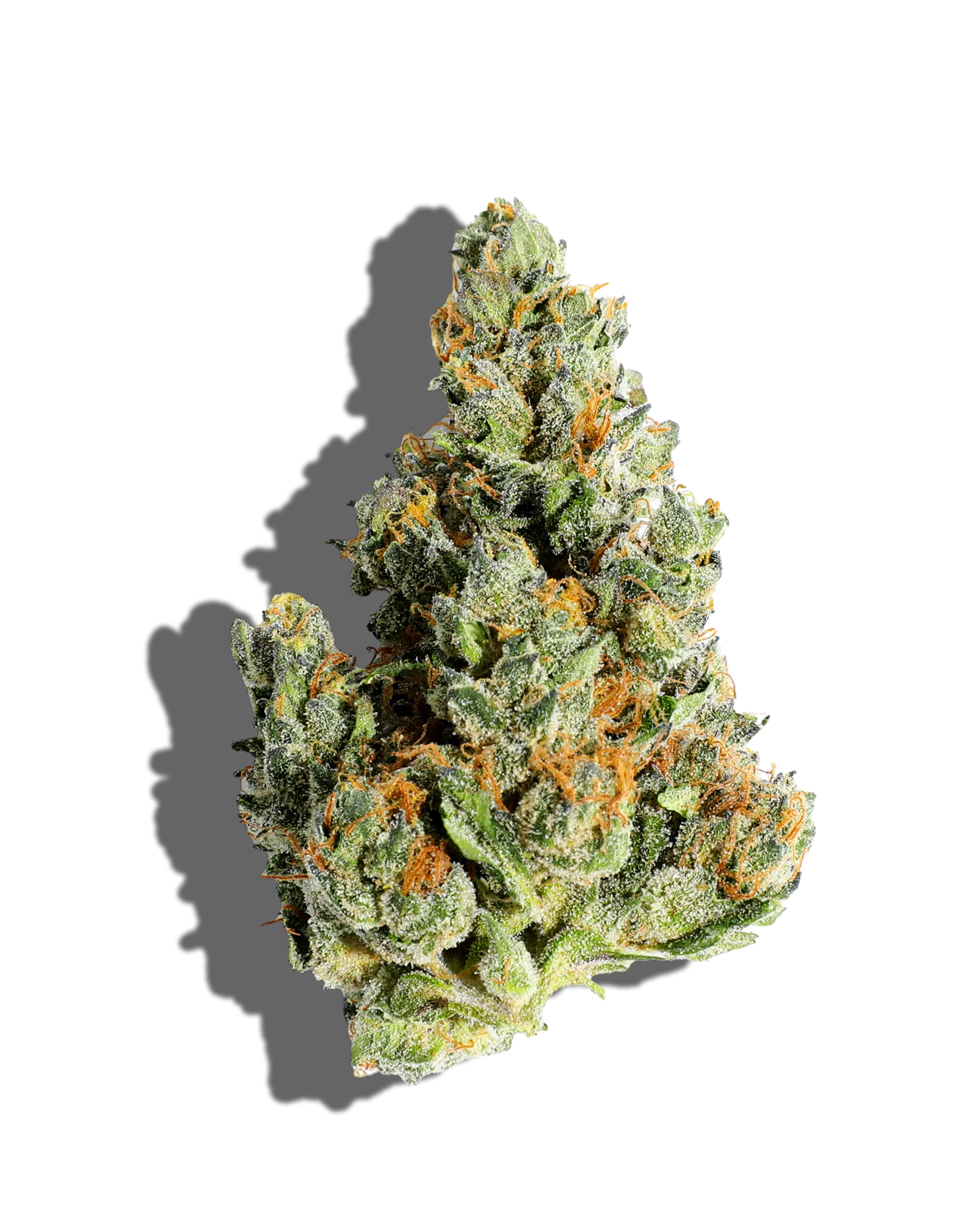 Sour Cream Cheesecake 3.5g