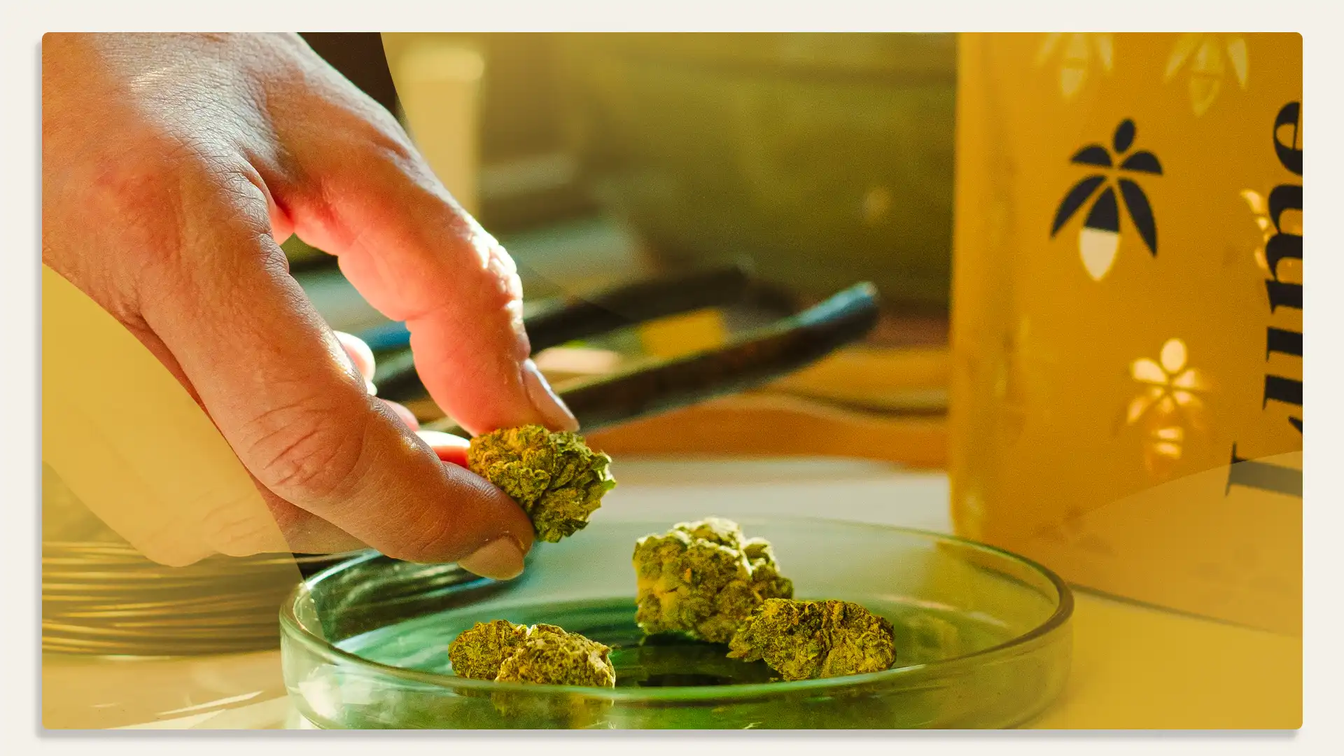 New Lume Flower Deals!