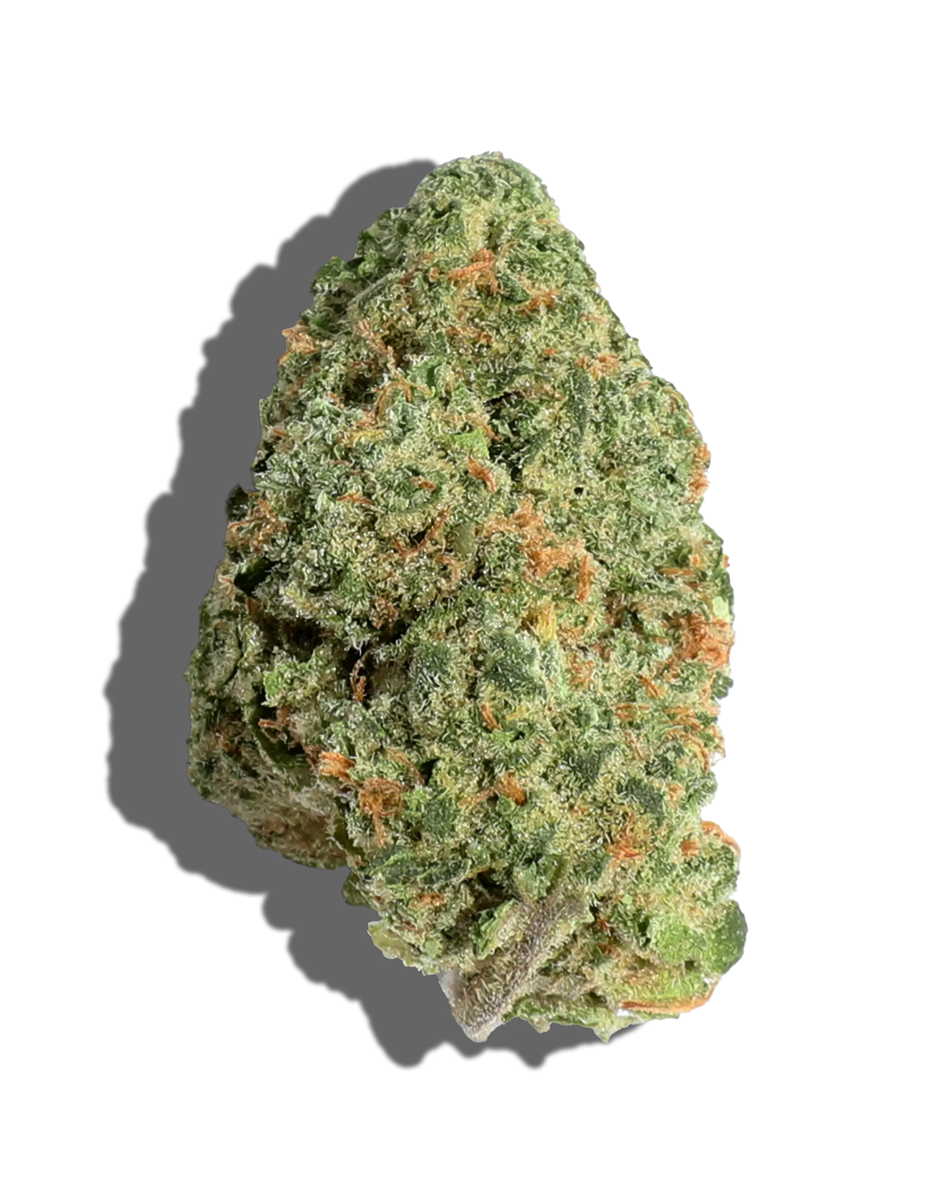 Rainbow Zlz 3.5g
