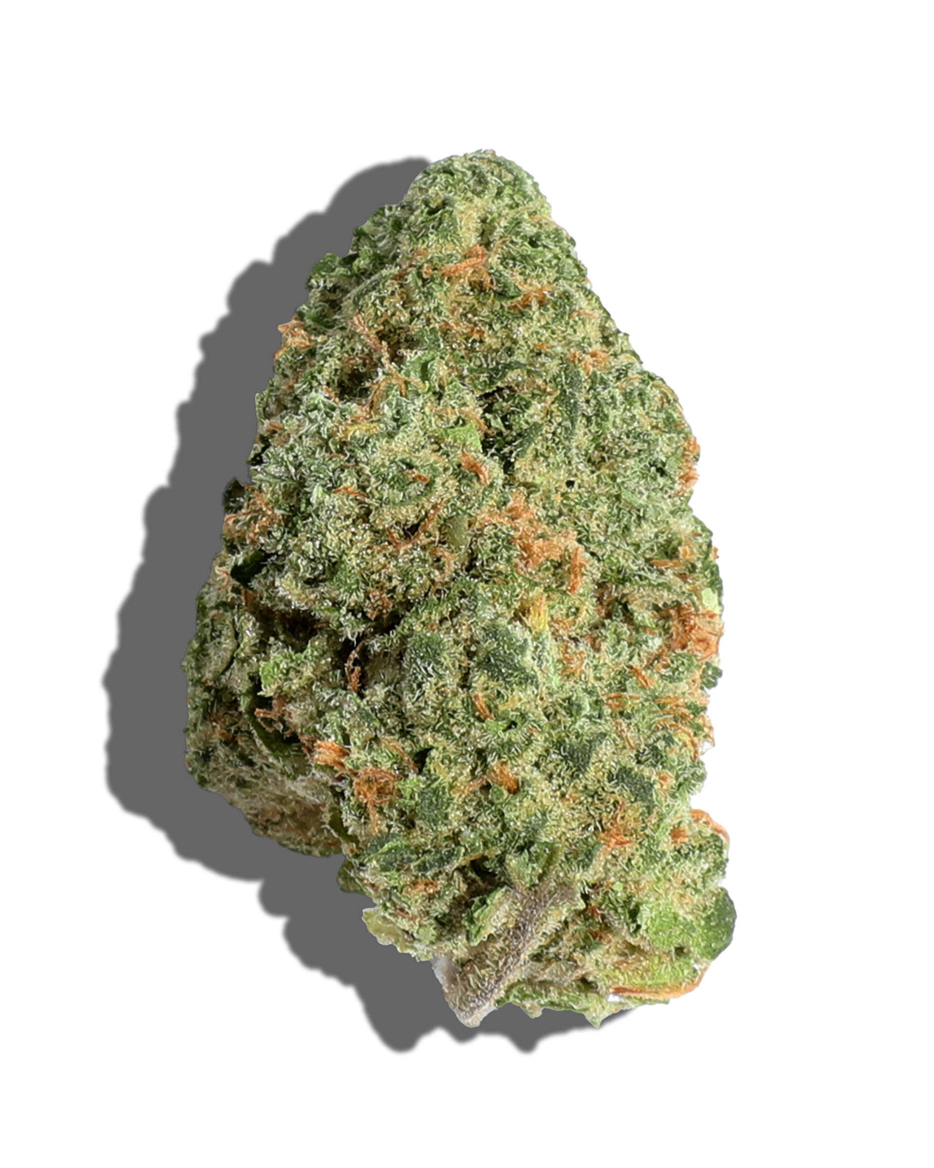Rainbow Zlz Flower