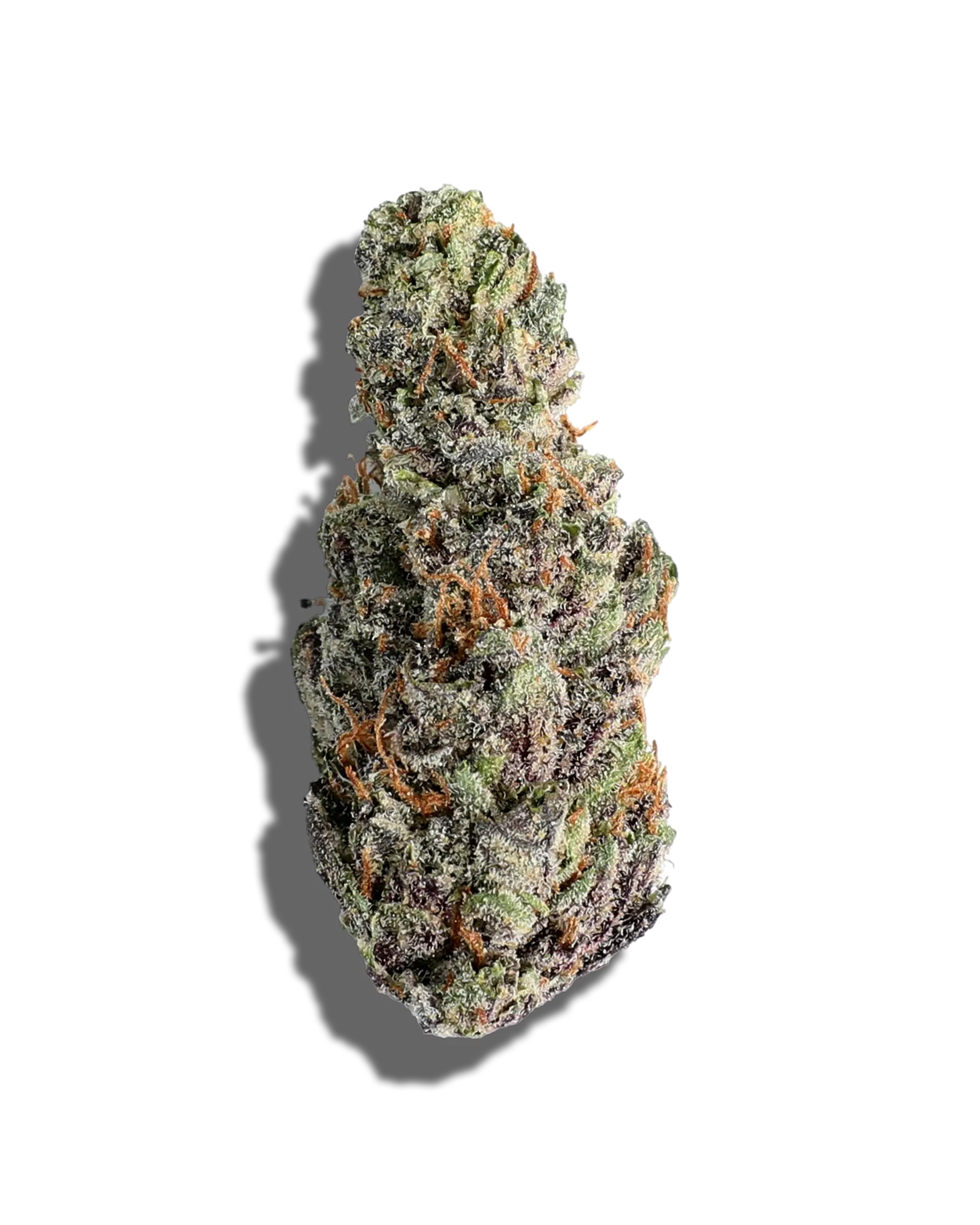 Biker Kush 3.5g