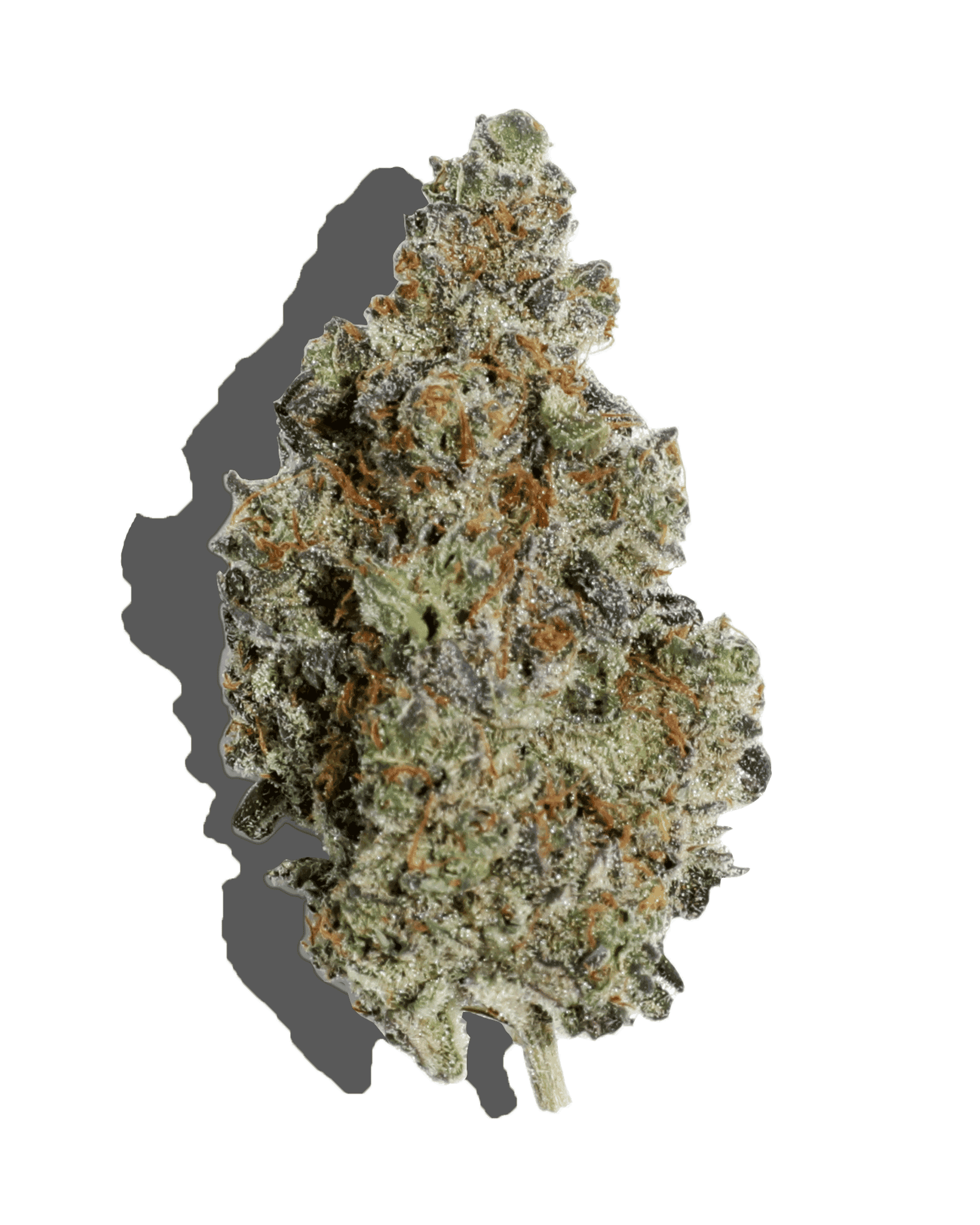 Space Runtz Flower