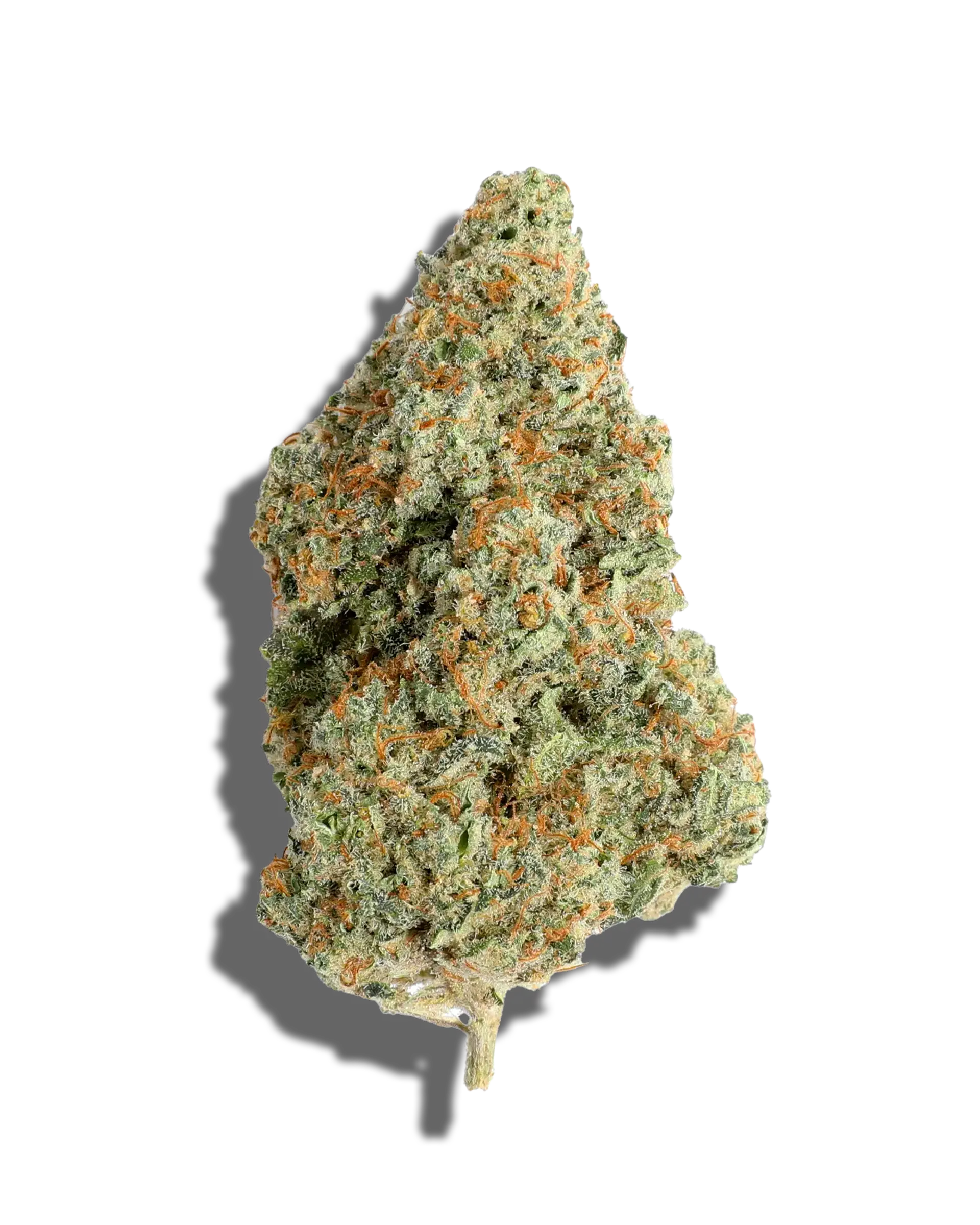 Candy Muffin 3.5g