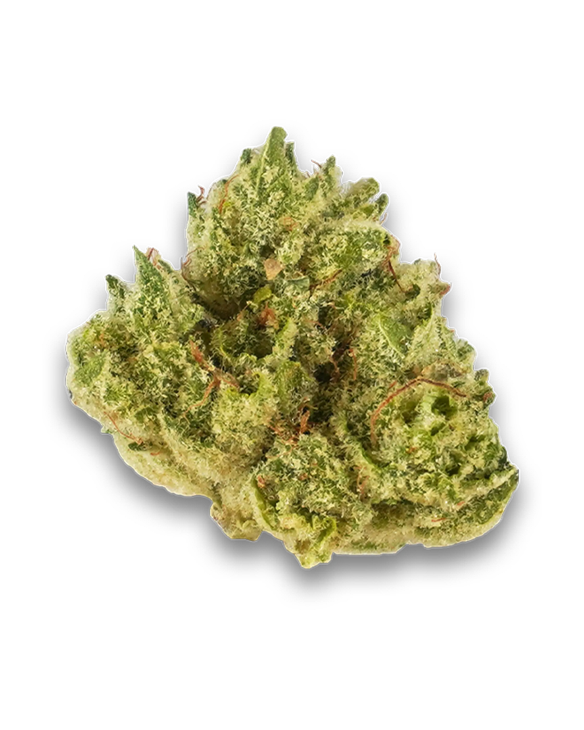 Gg4 3.5g