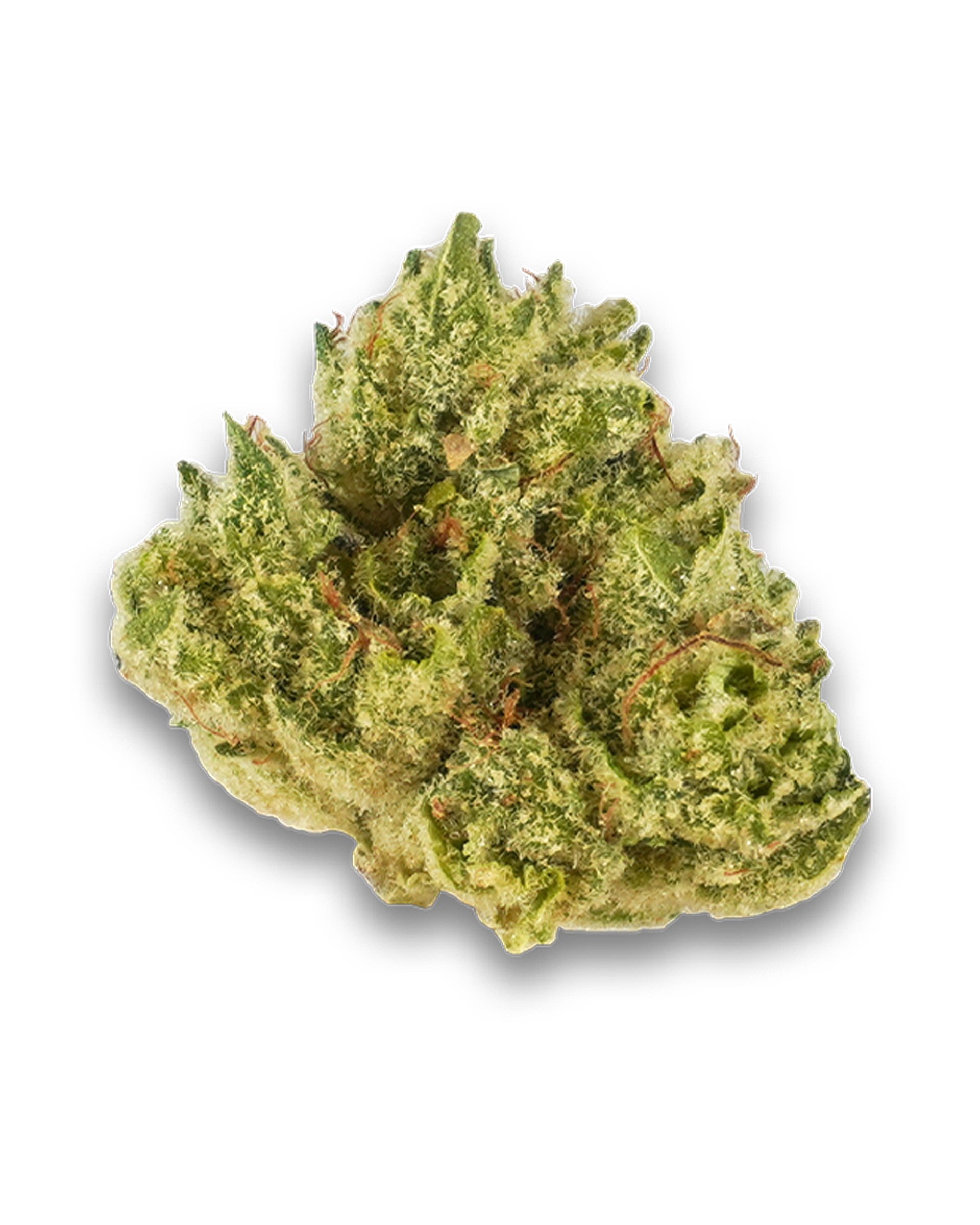 GG4 Flower