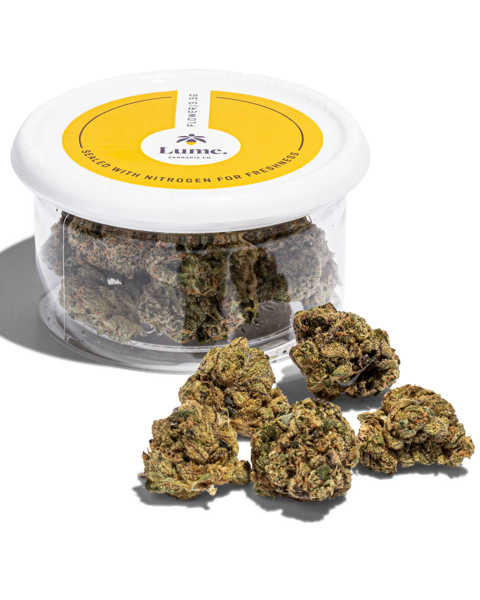 San Fernando Garlic Flower, 2 of 3