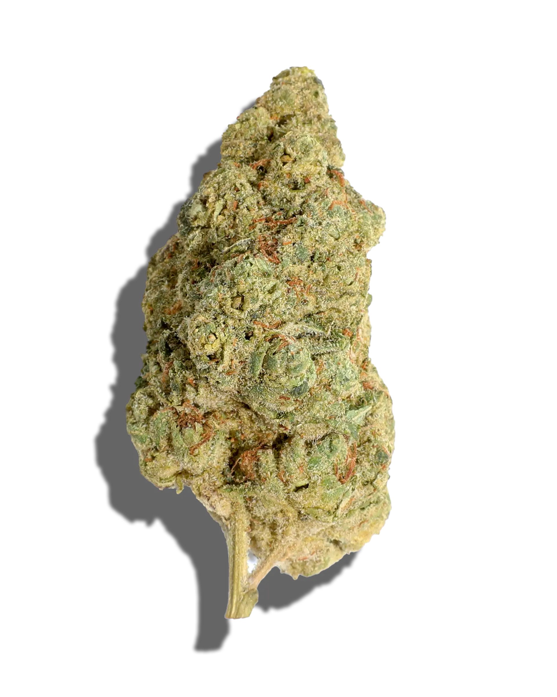 Biker Kush 1oz