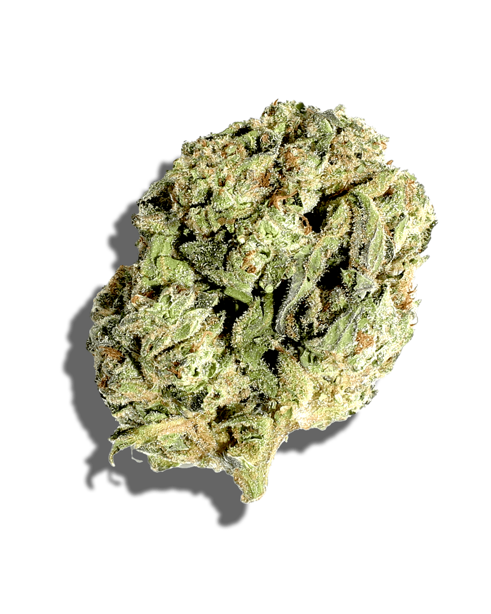 Sungrown Moby Dick 3.5g