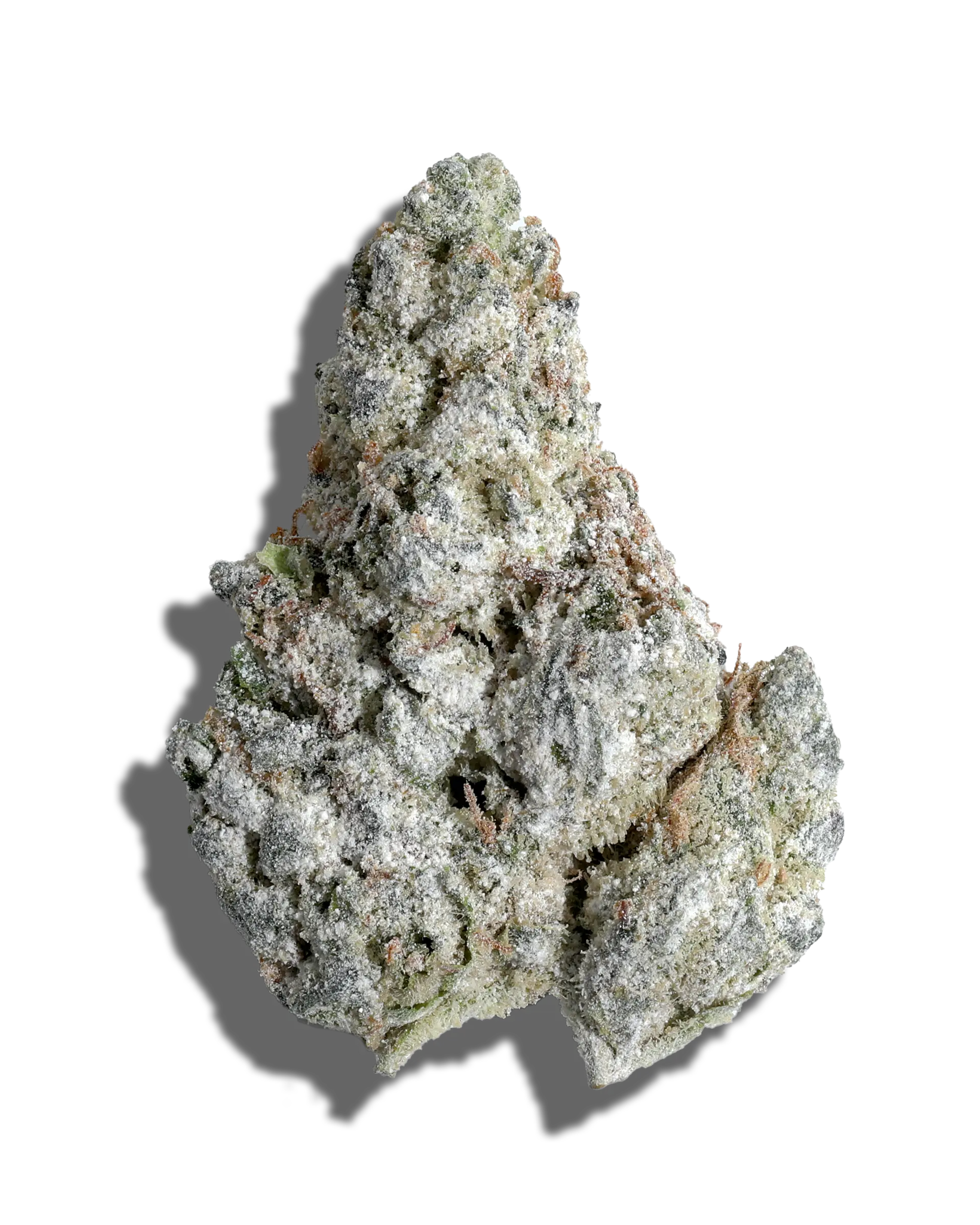 GMO Cookies X G13 Amp'd Live Resin Infused Flower 5g