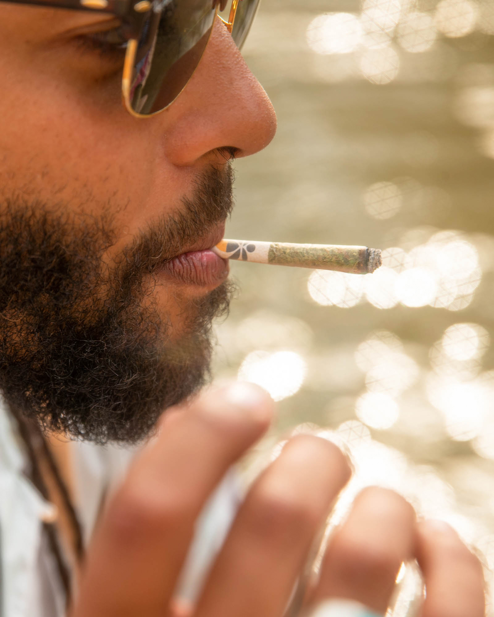 Terp Alert: Deep Breath Preroll 20-pack, 3 of 3