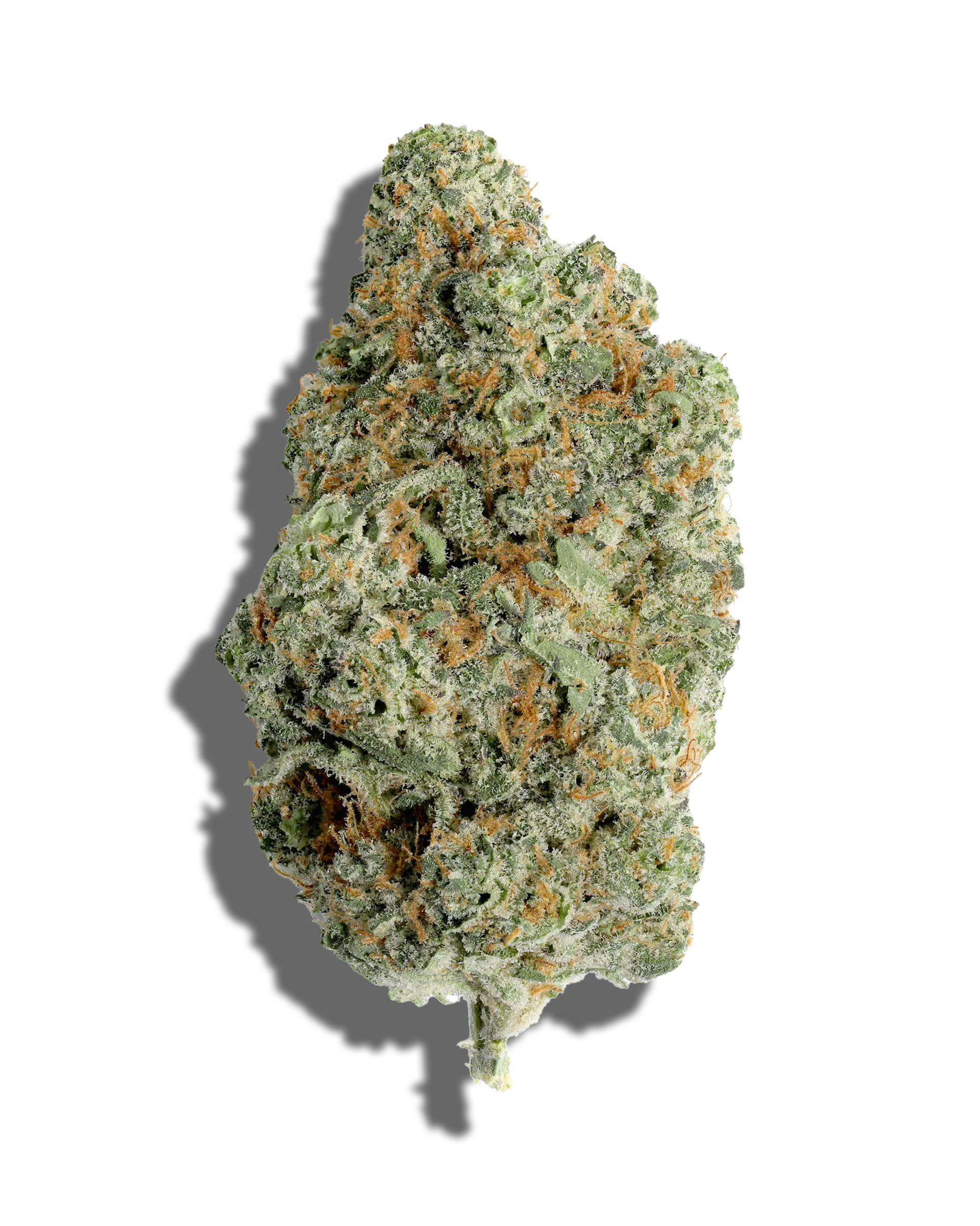 Apricot Chem 3.5g