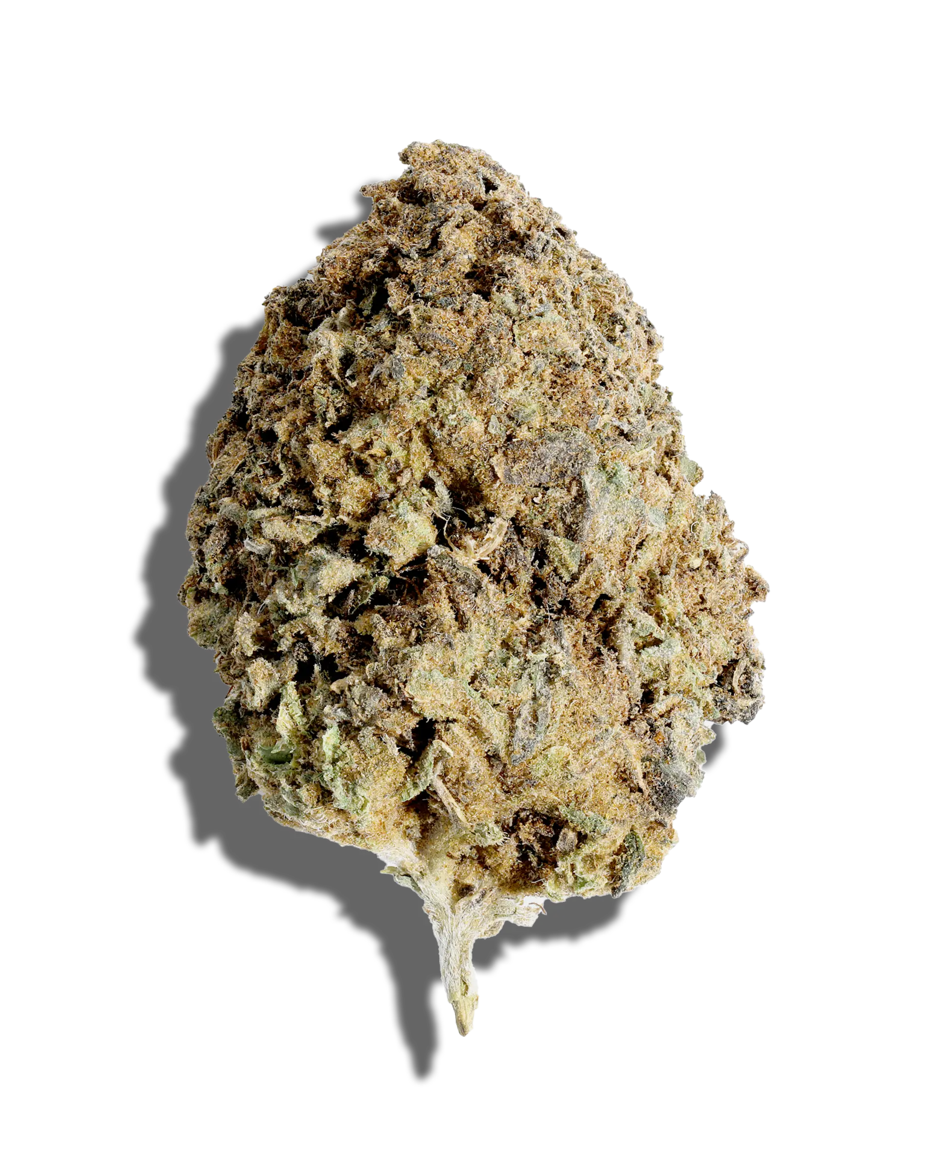 Sungrown Gorilla P 1oz