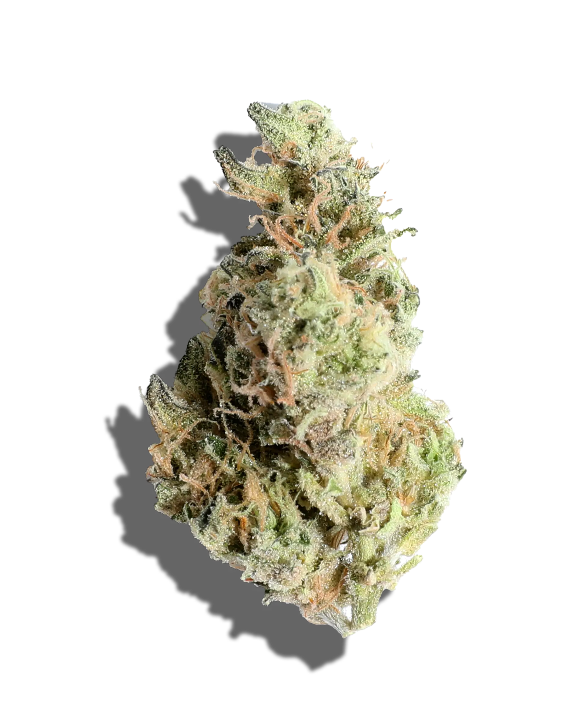 Gush Mints 3.5g