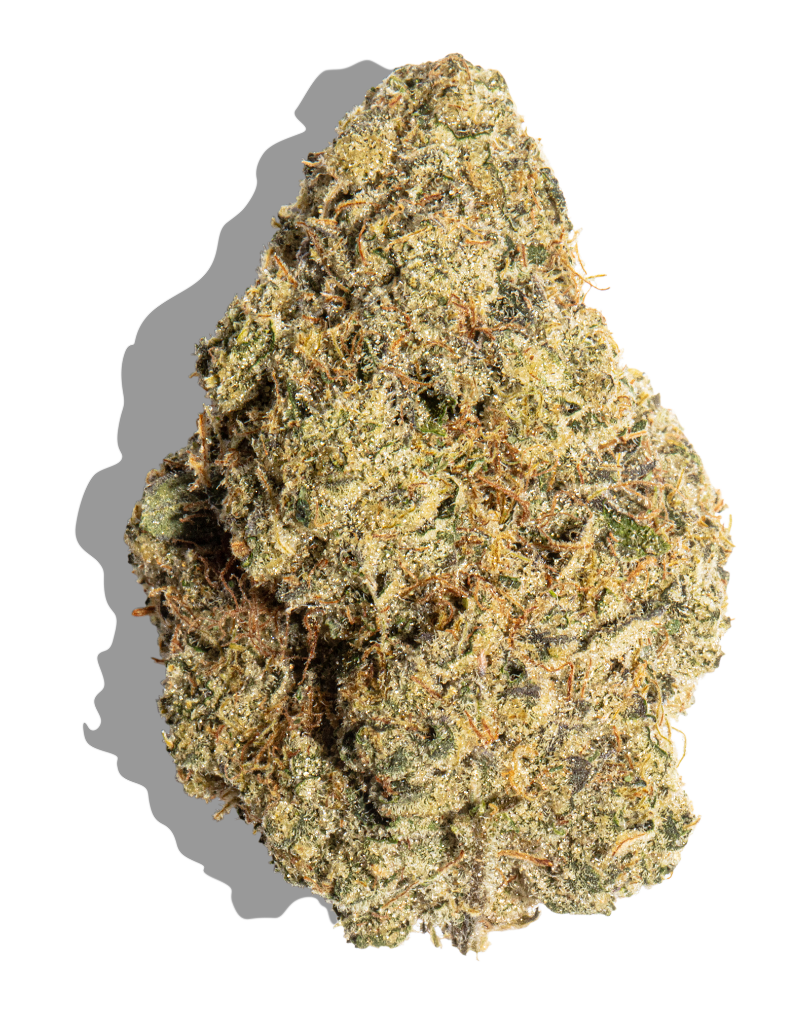 Wedding Cake Feminized Seeds (Canuk Seeds) - ELITE STRAIN