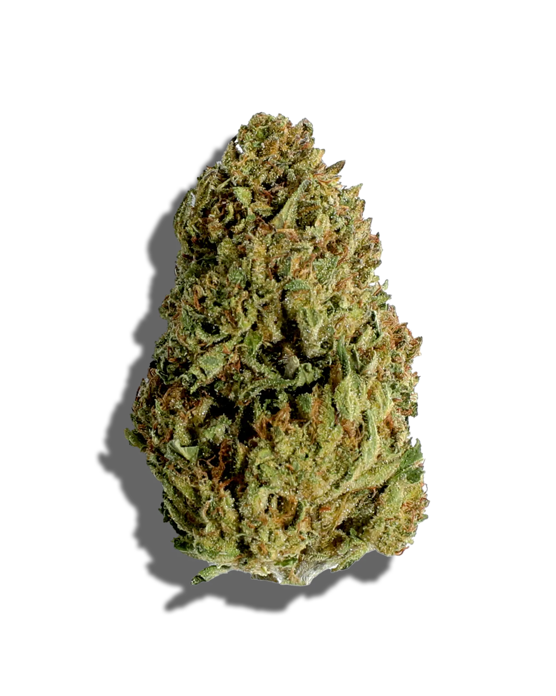 Sungrown White Tahoe Cookies 3.5g