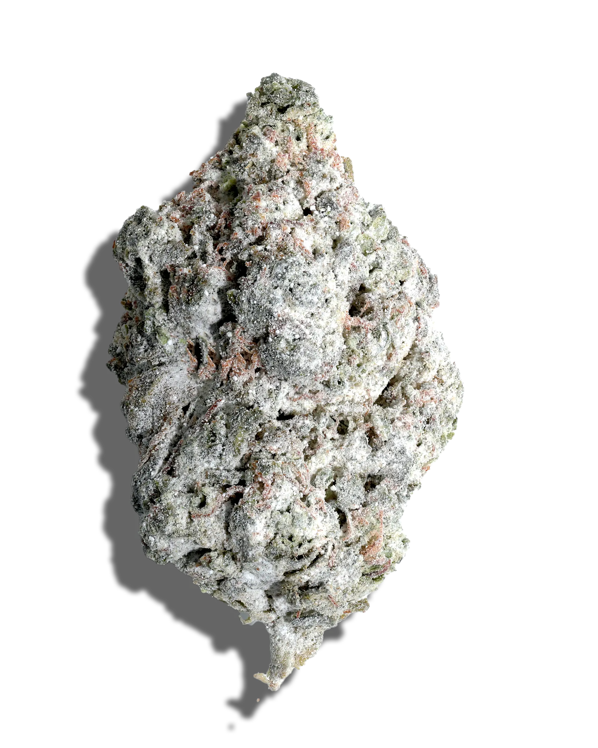 Chem De La Chem X Jack Herer Amp'd Live Resin Infused Flower 5g