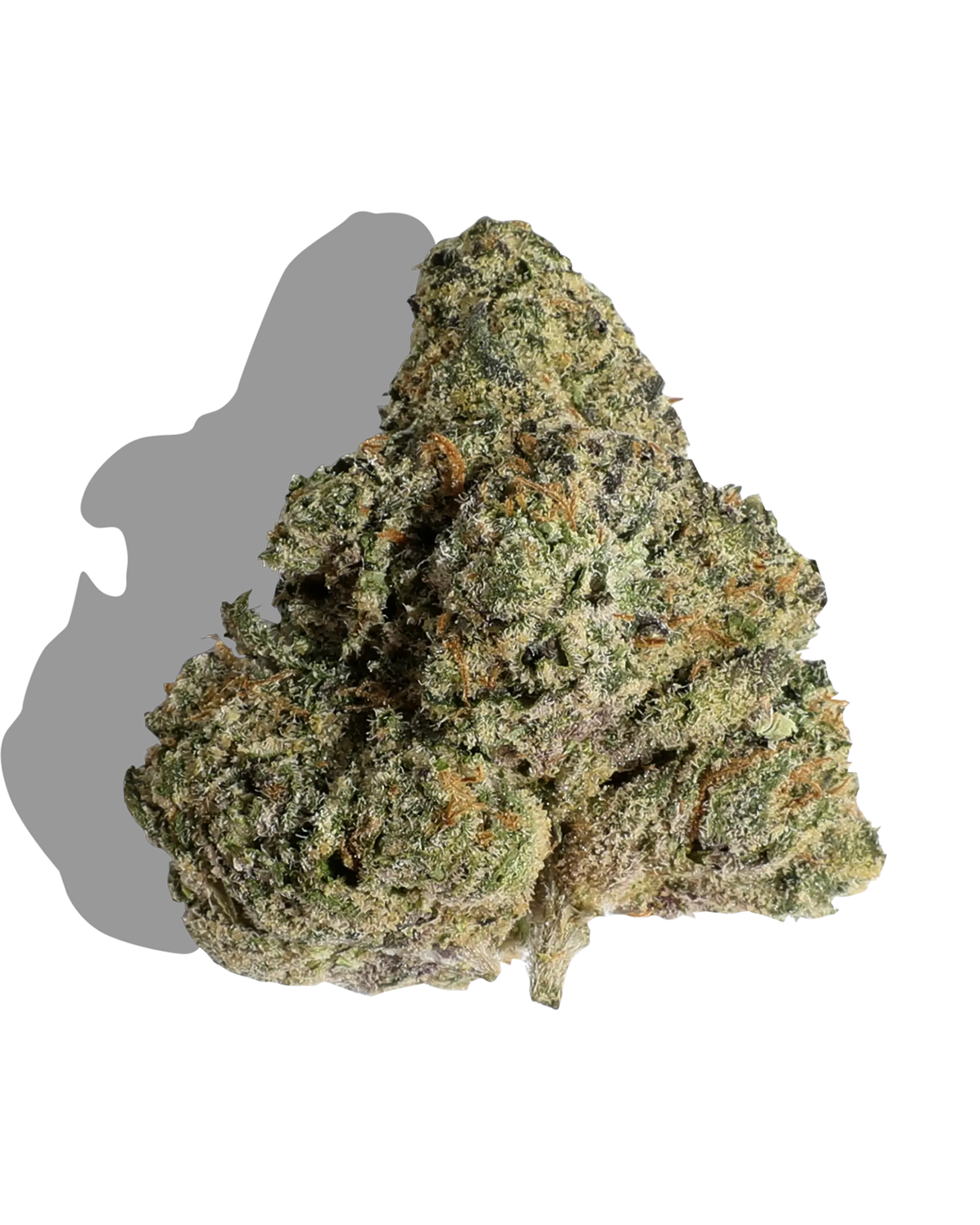 Tropical Jelly Runtz 1oz