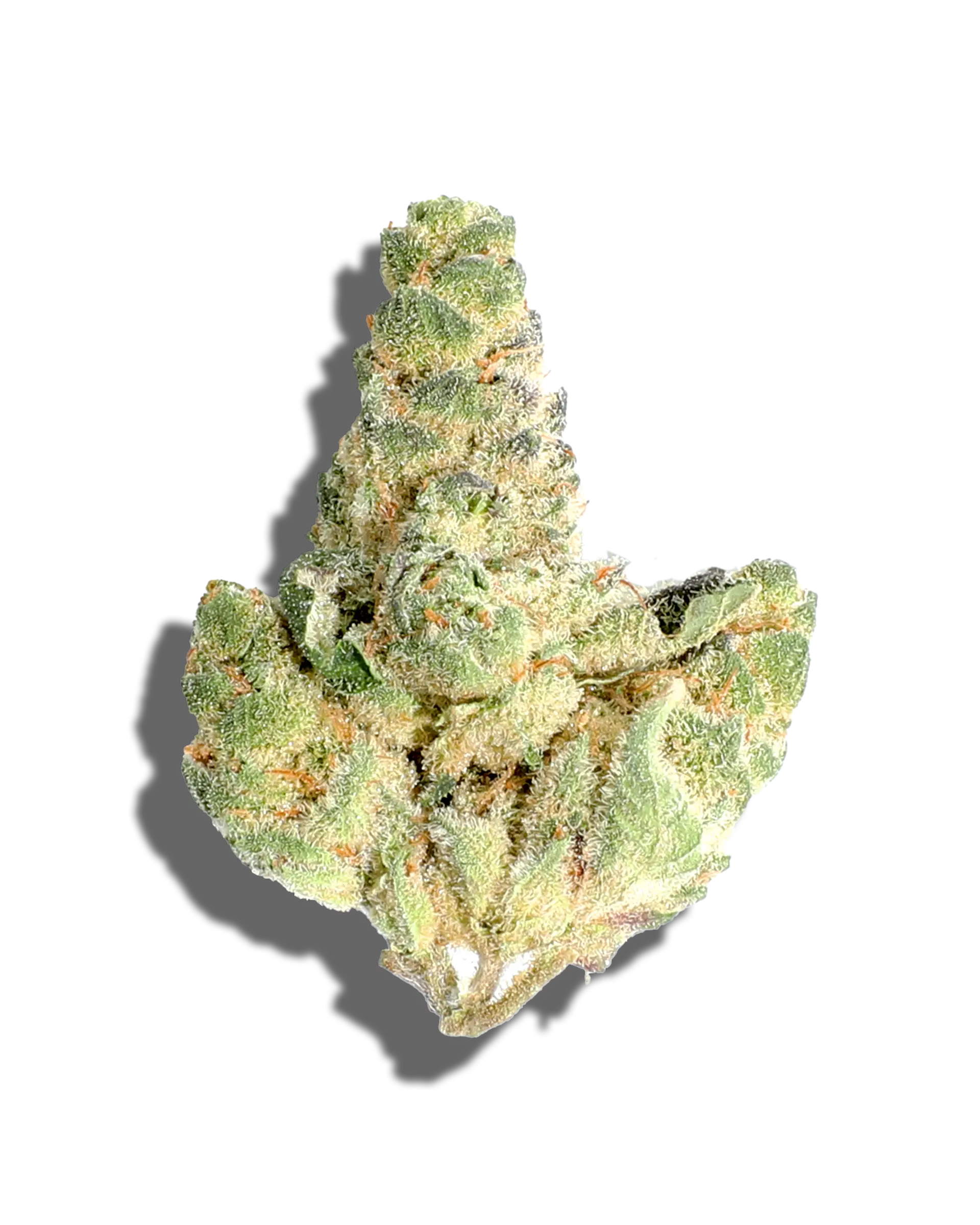 Banana Banshee 1oz