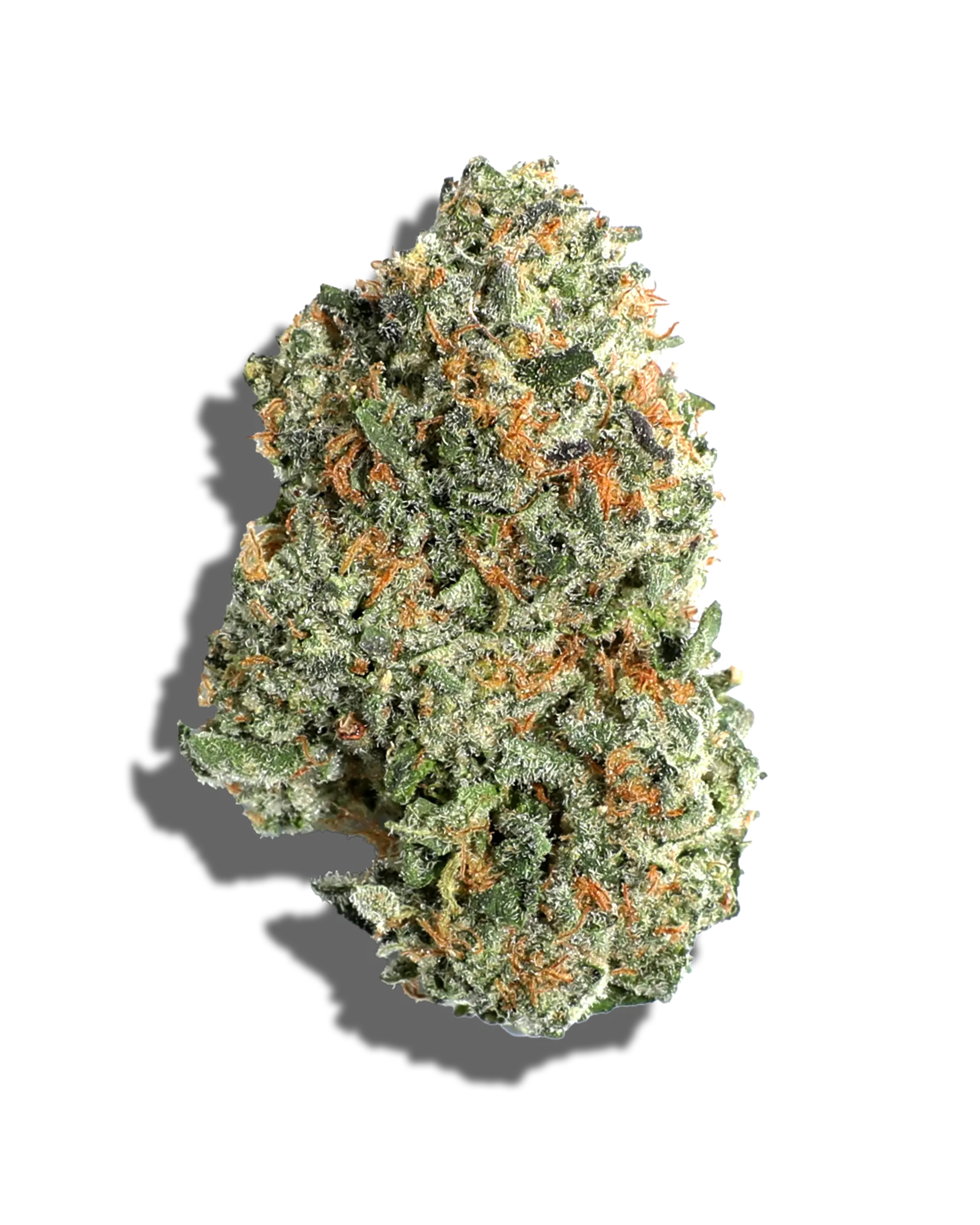 Blicky 3.5g