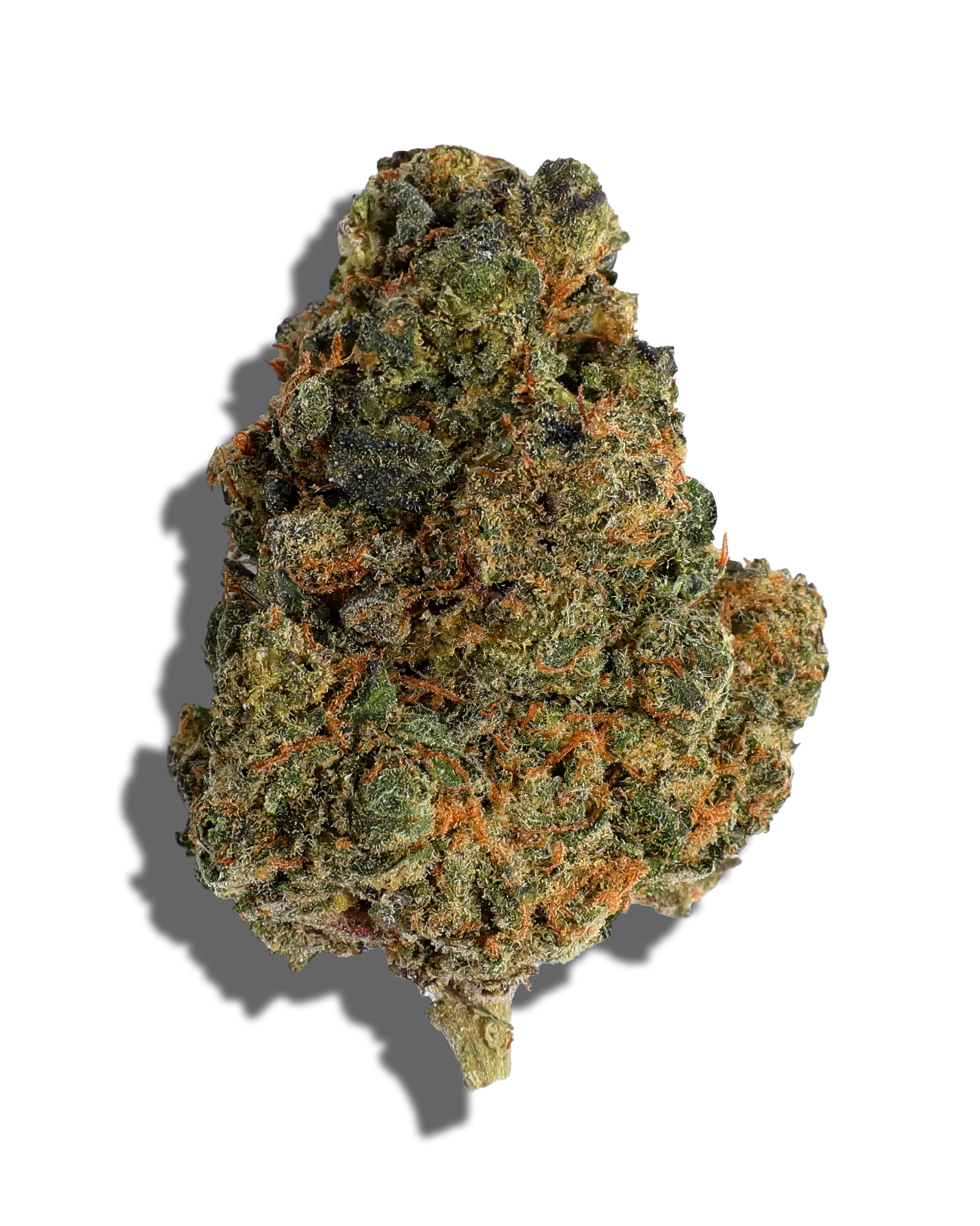 Gelate Power 3.5g