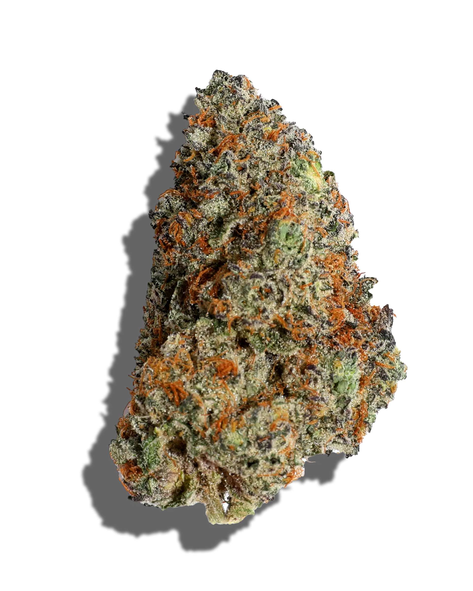 Jokerz Wild 1oz