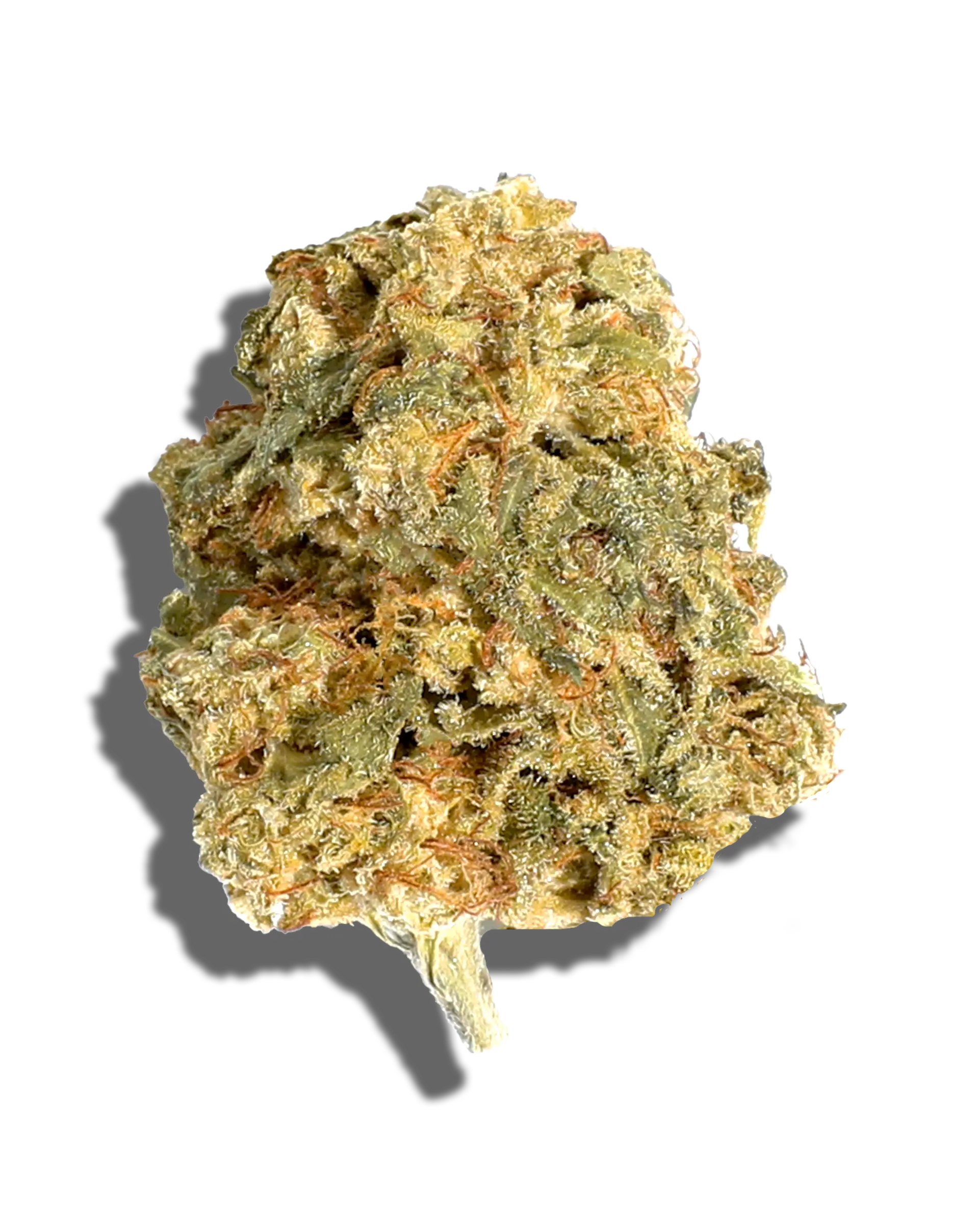 Sungrown Pablos Gold 1oz