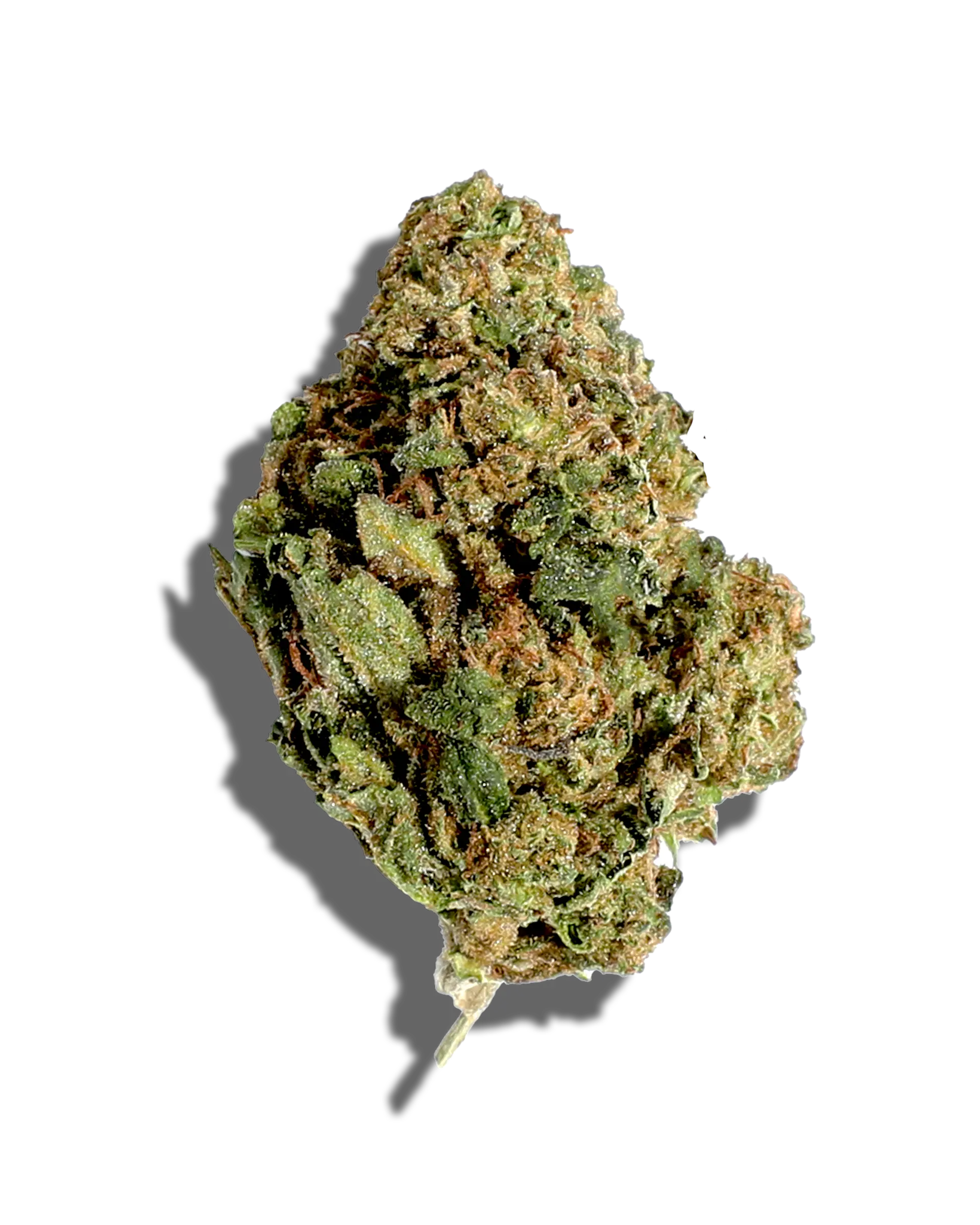 Sungrown Jealouzy 1oz