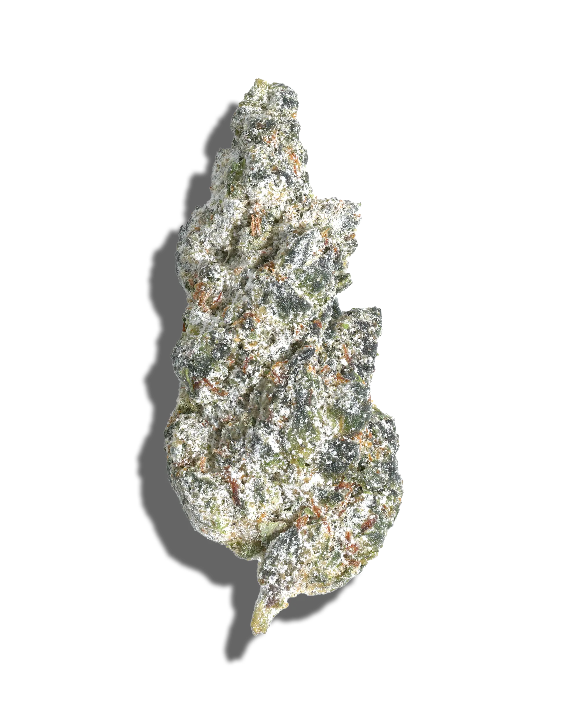 GMO Cookies X Apples & Bananas X Medellin Amp'd Live Resin Infused Flower 5g