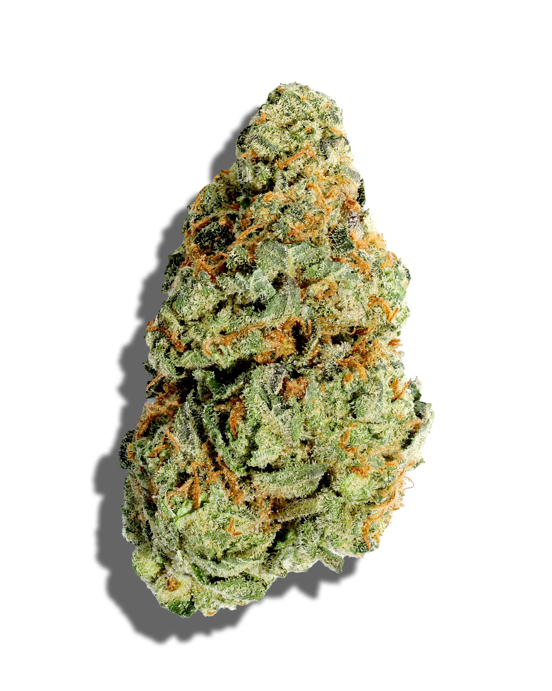 GMO 3.5g
