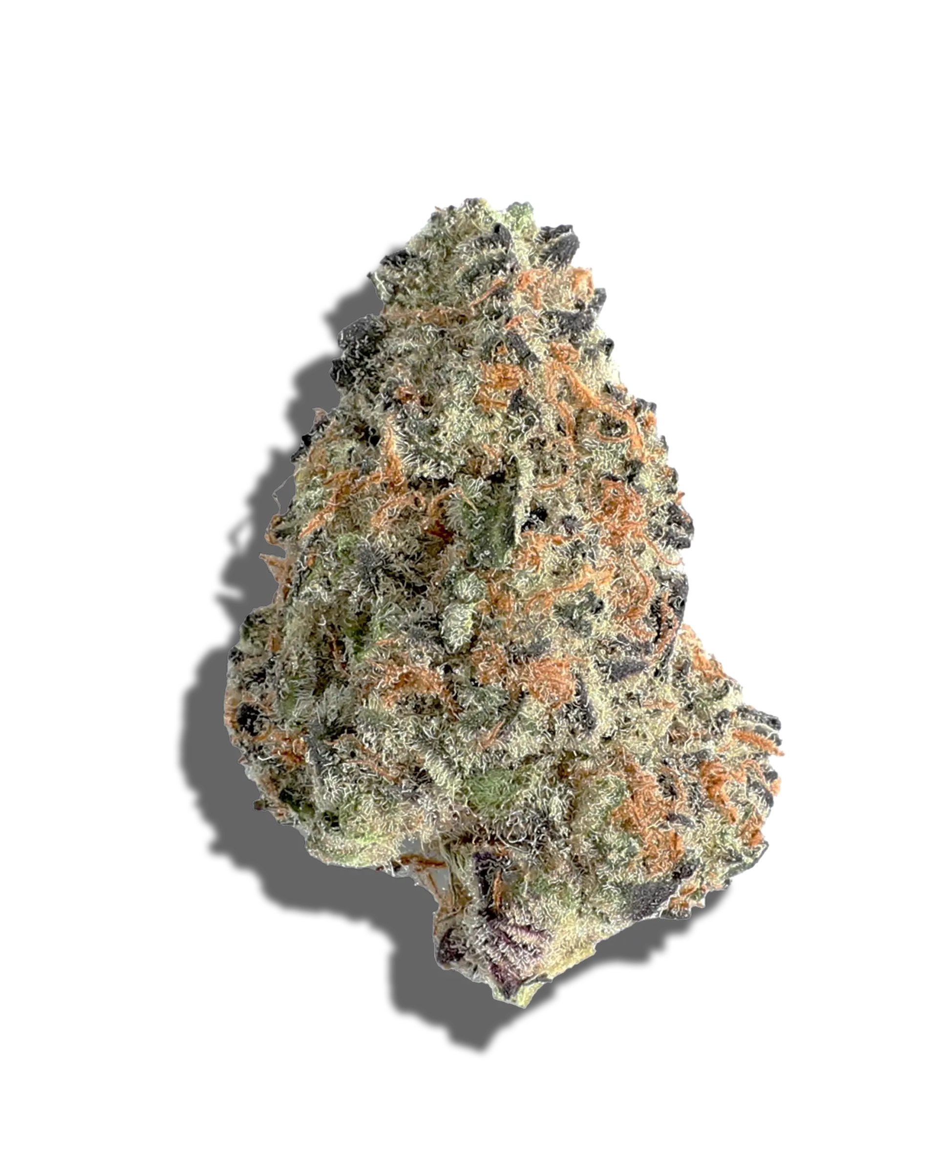 Rhubarb Tort 1oz