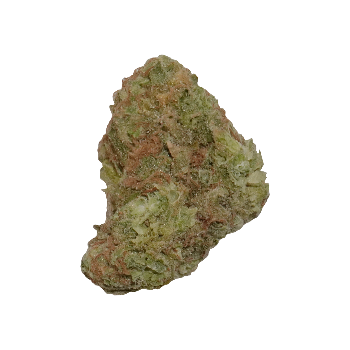 Stardawg cannabis bud