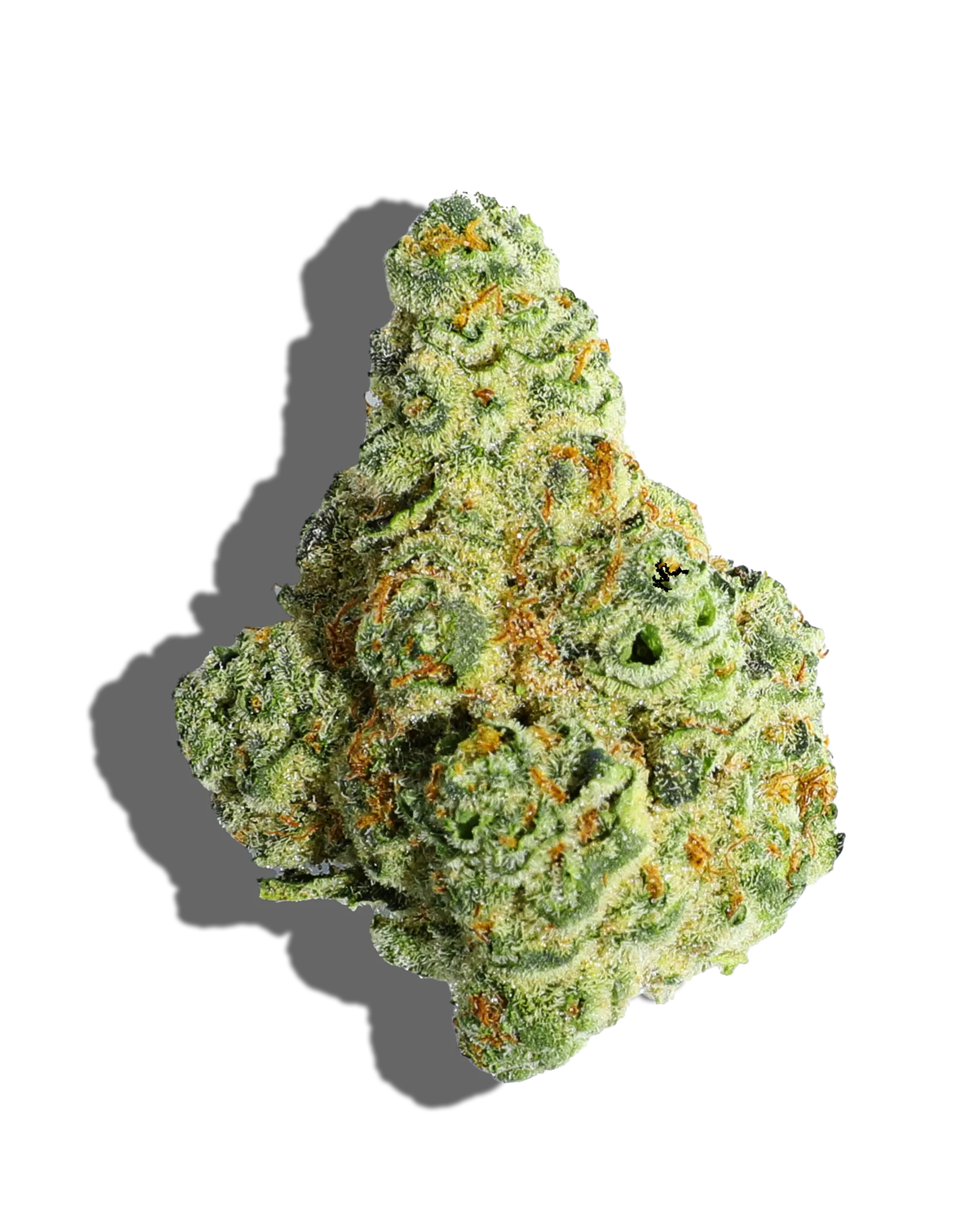 Truffle Stomper Flower