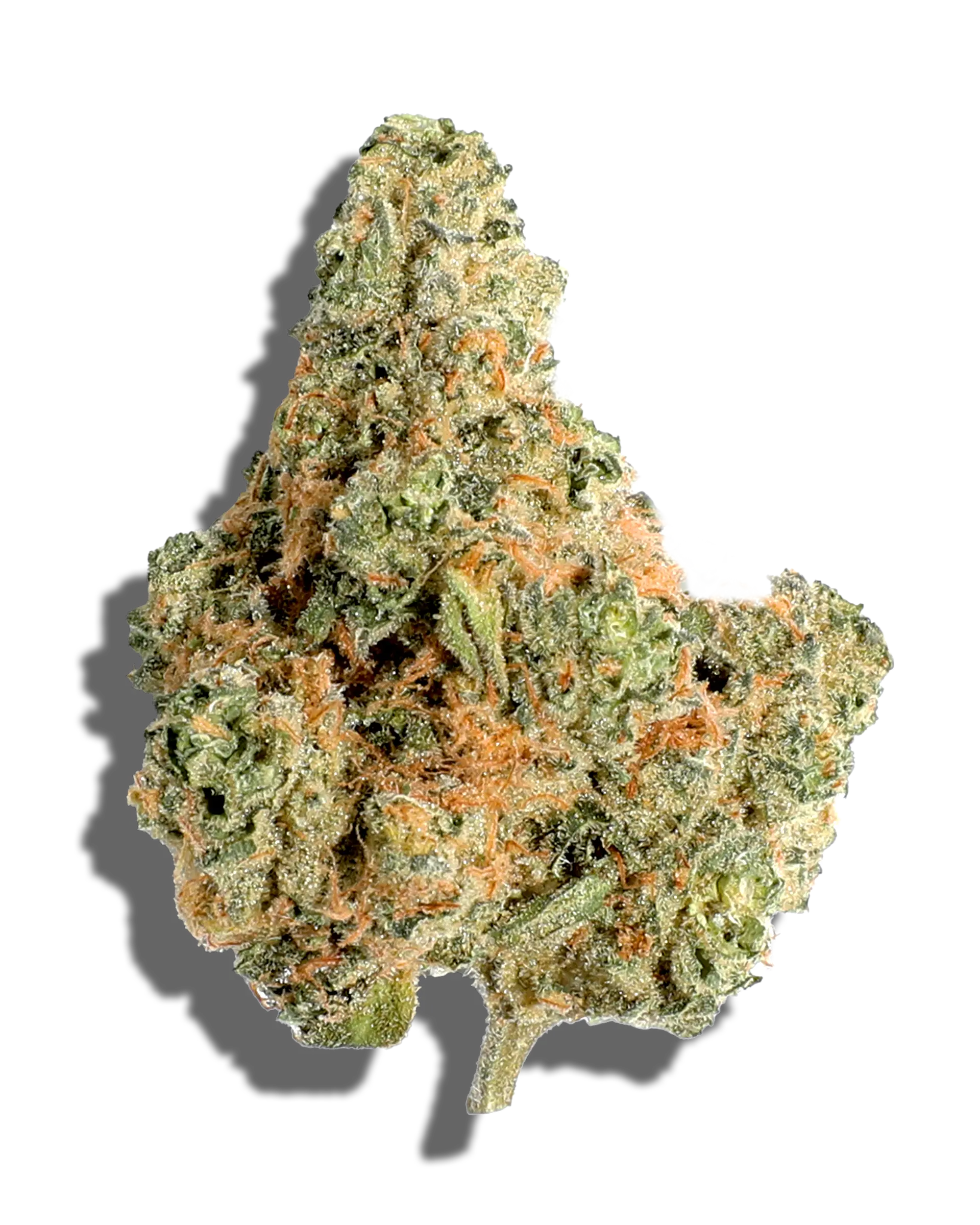 Rainbow Guava #5 3.5g