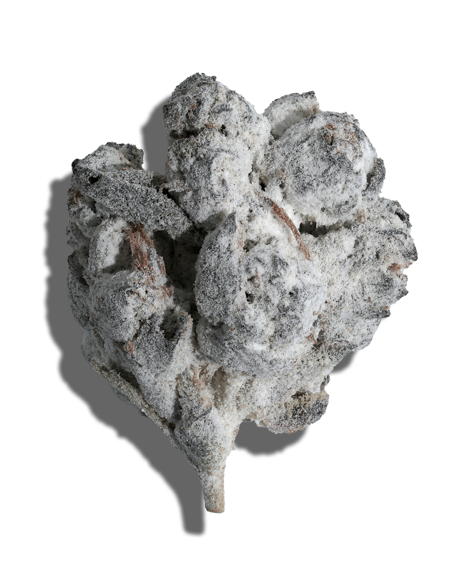 Dosidos X Slurpicane Amp'd Live Resin Infused Flower 5g