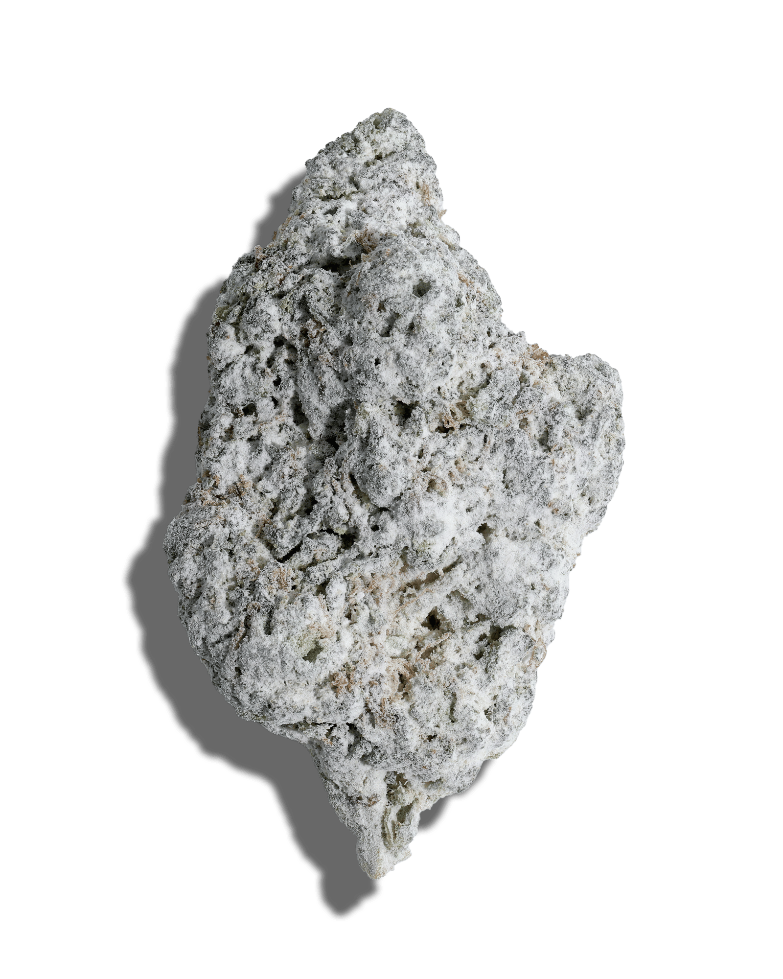 Cheddar Cheese X Phantom OG Amp'd Live Resin Infused Flower 5g