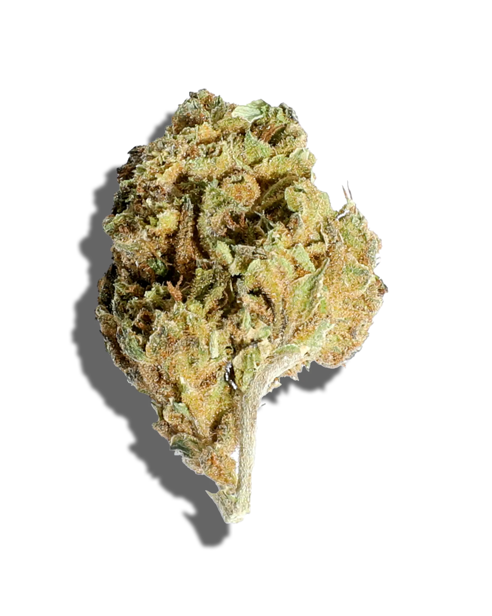 Sungrown Grip Cake 3.5g