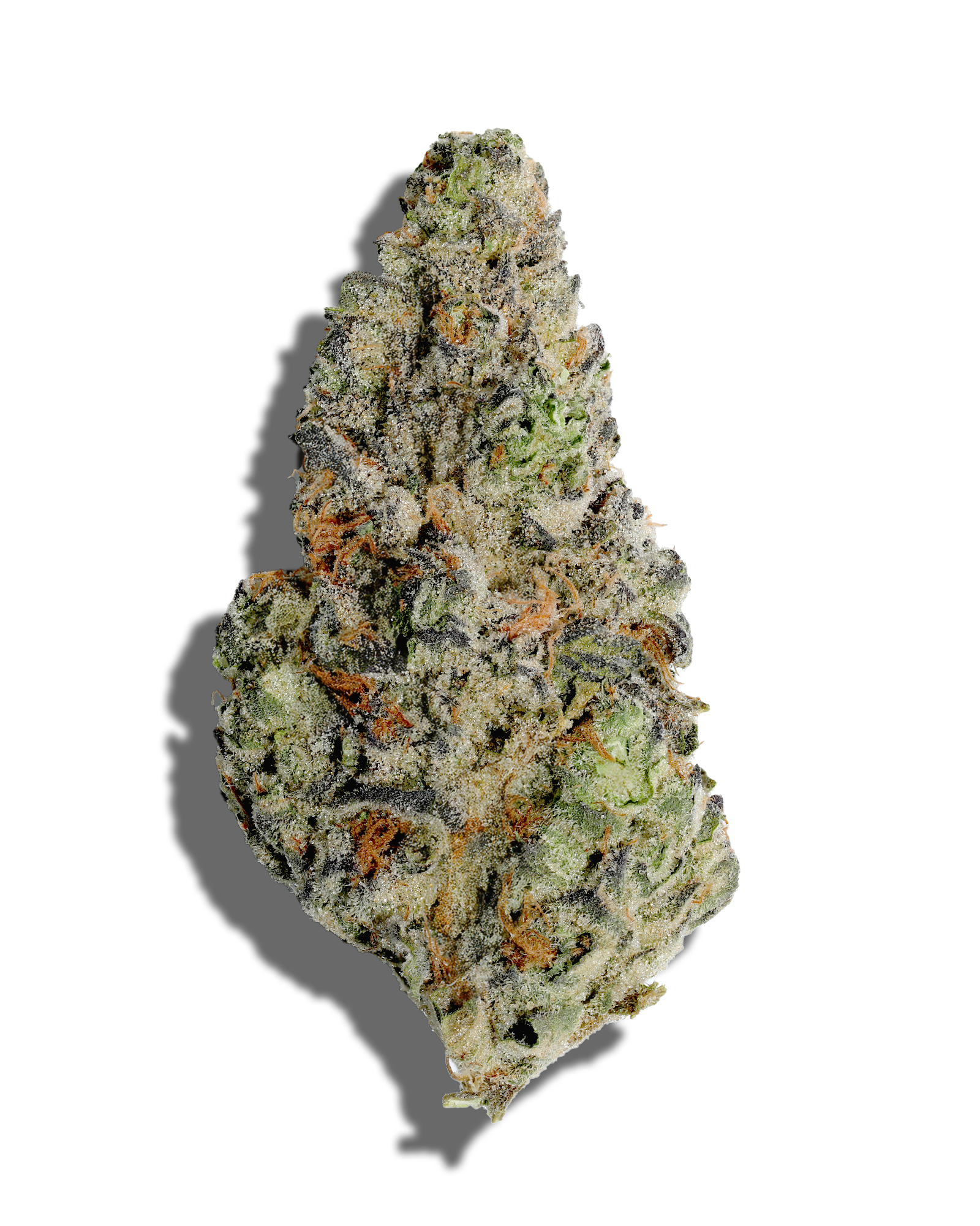 Midnight Biscotti 1oz, 1 of 3