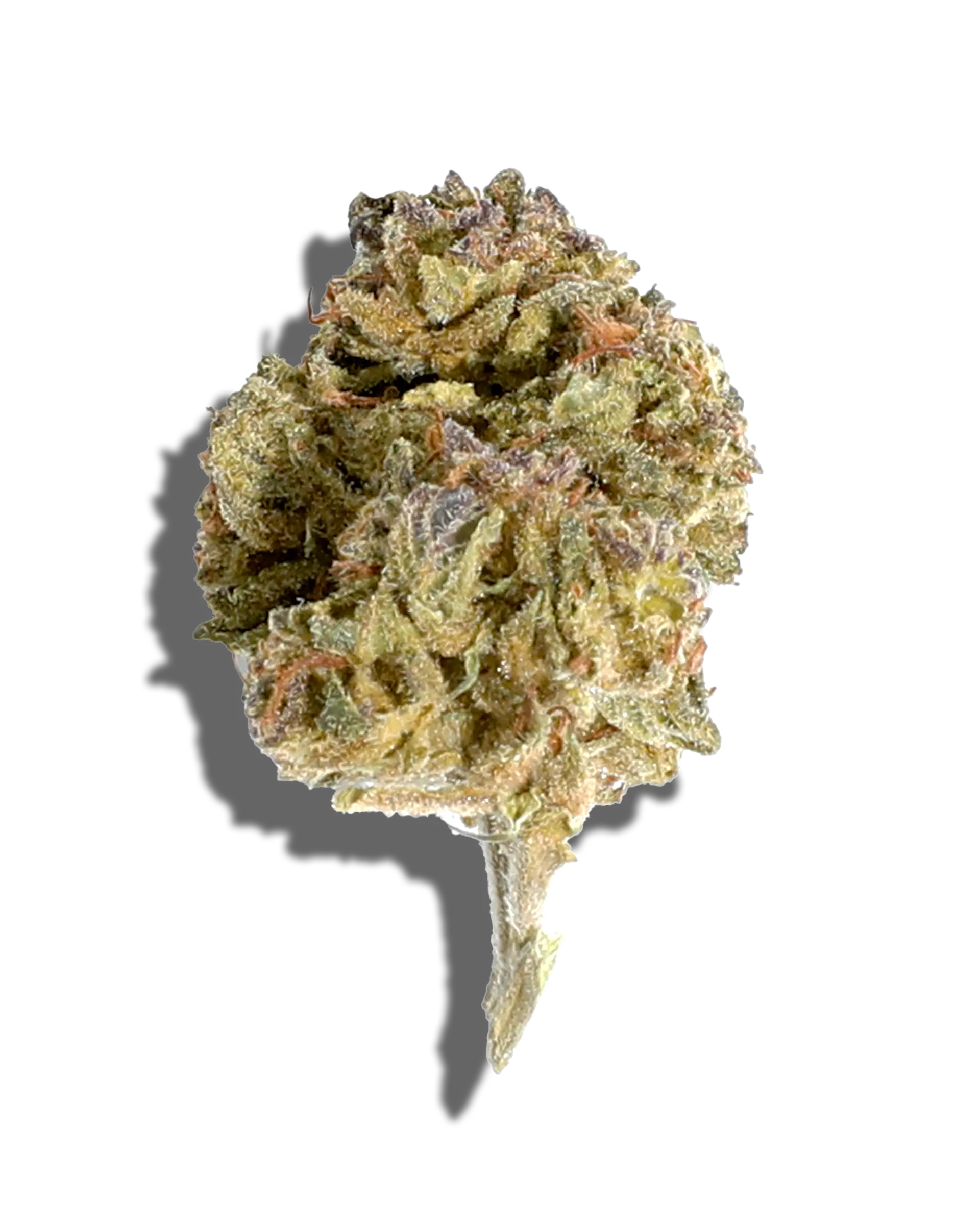 Sungrown Purple Fun 1oz