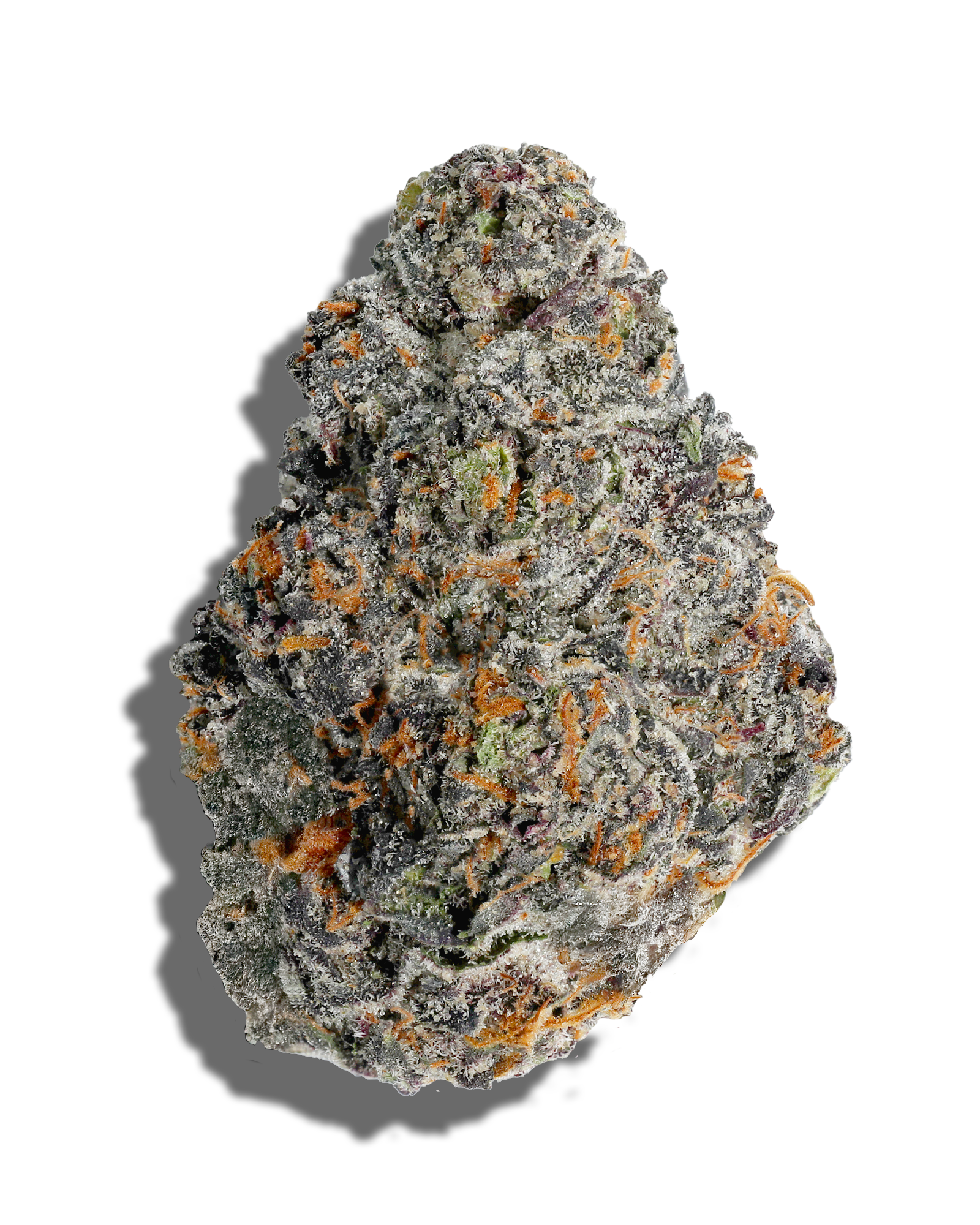 Deli - Zlicious, 1 of 2