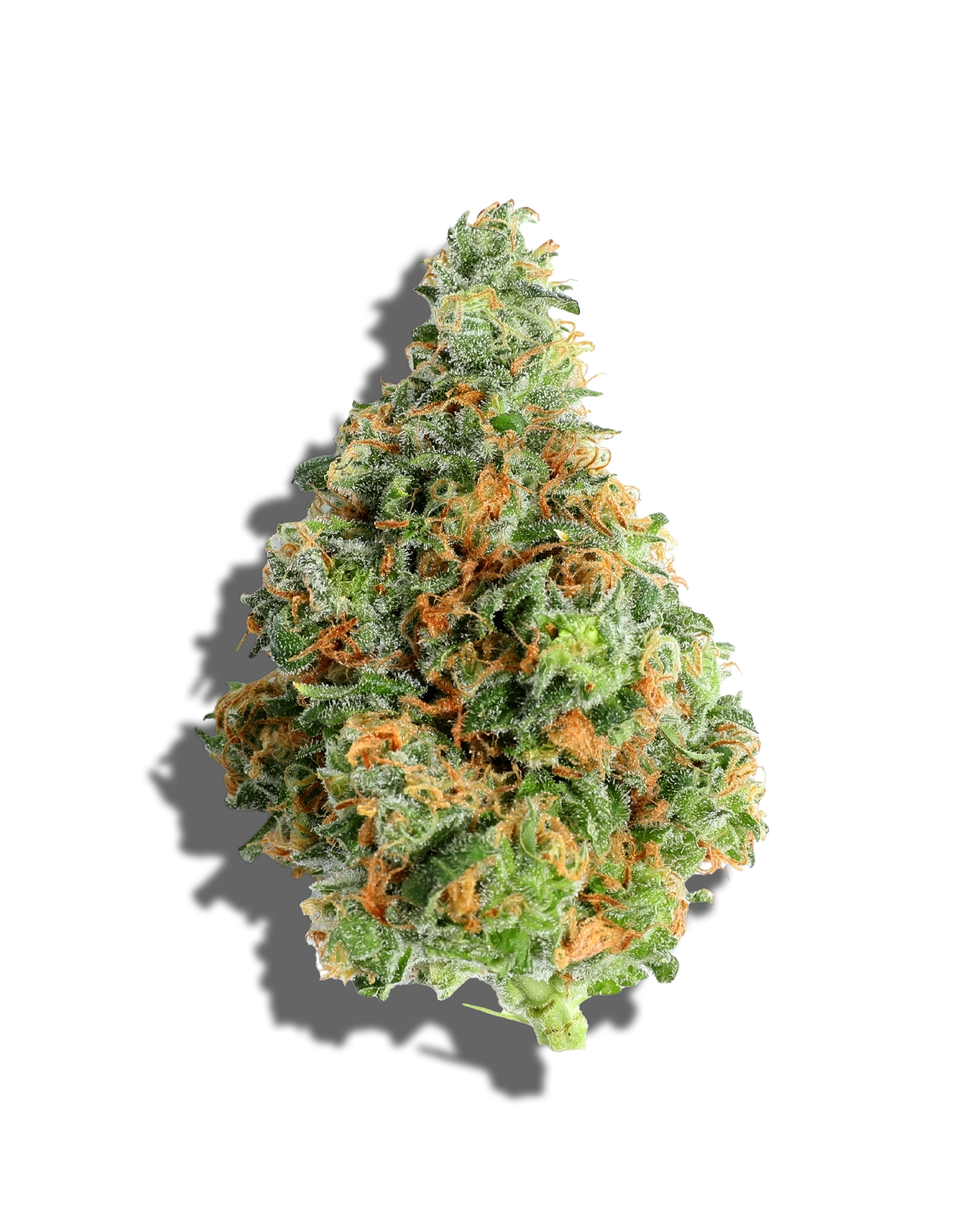 Terp Alert: Blackout Jenny Kush 3.5g, 2 of 2