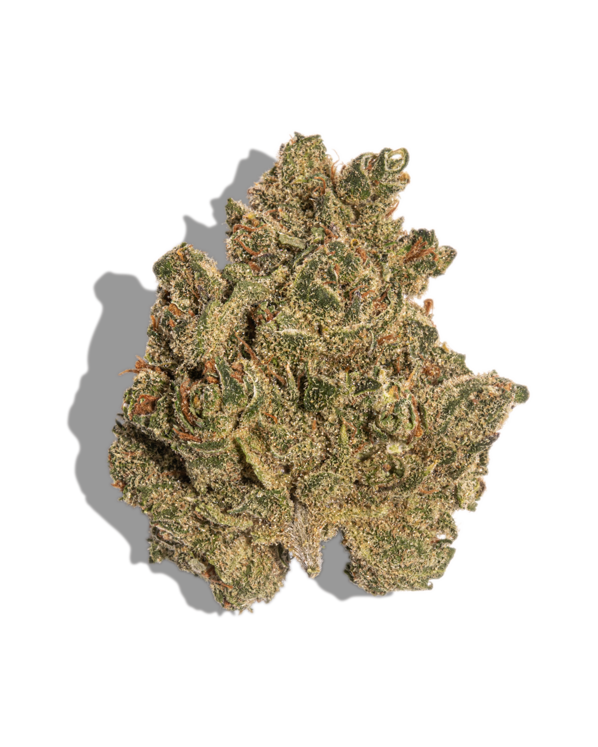 Skunkberry Flower