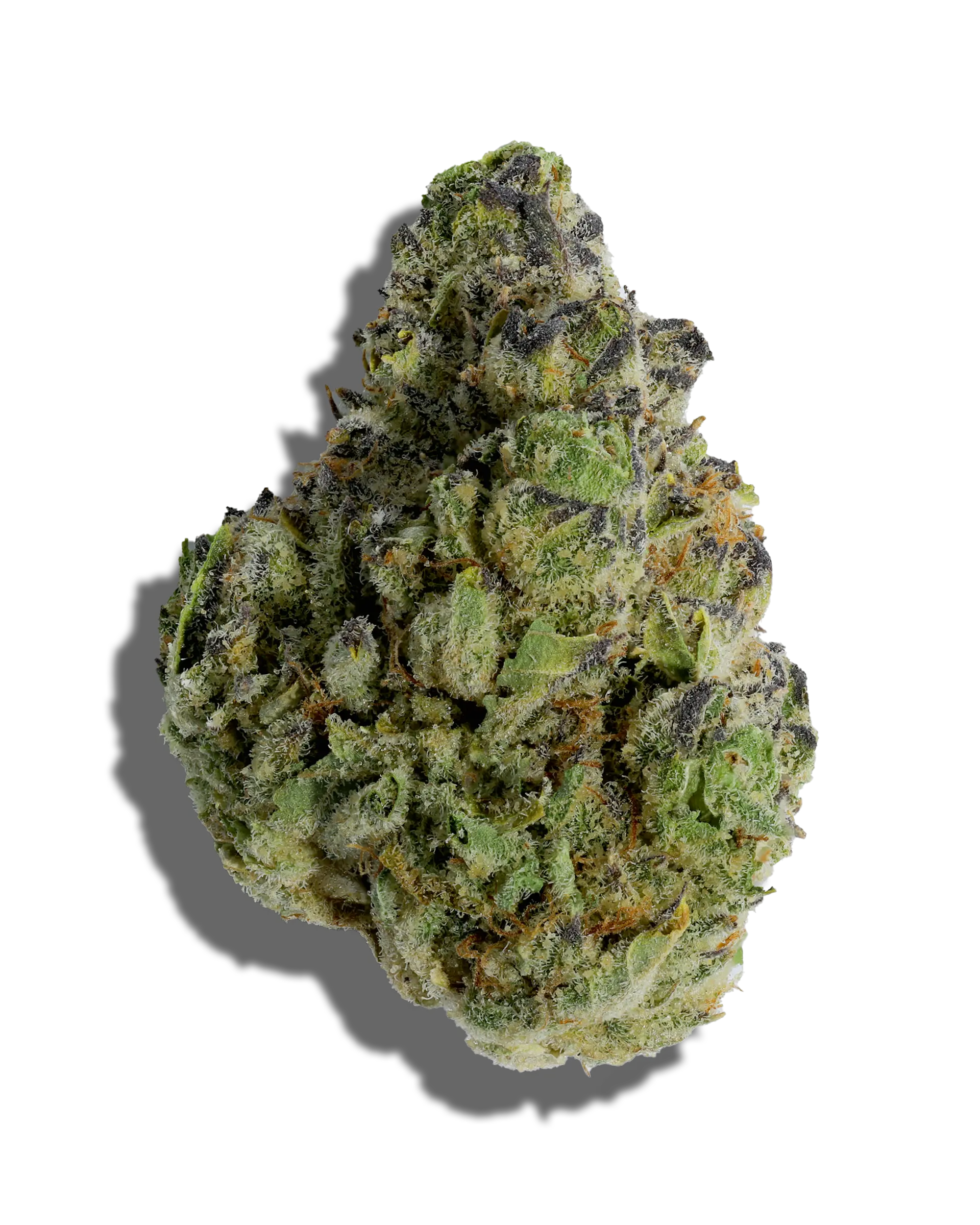 Lemosa 3.5g