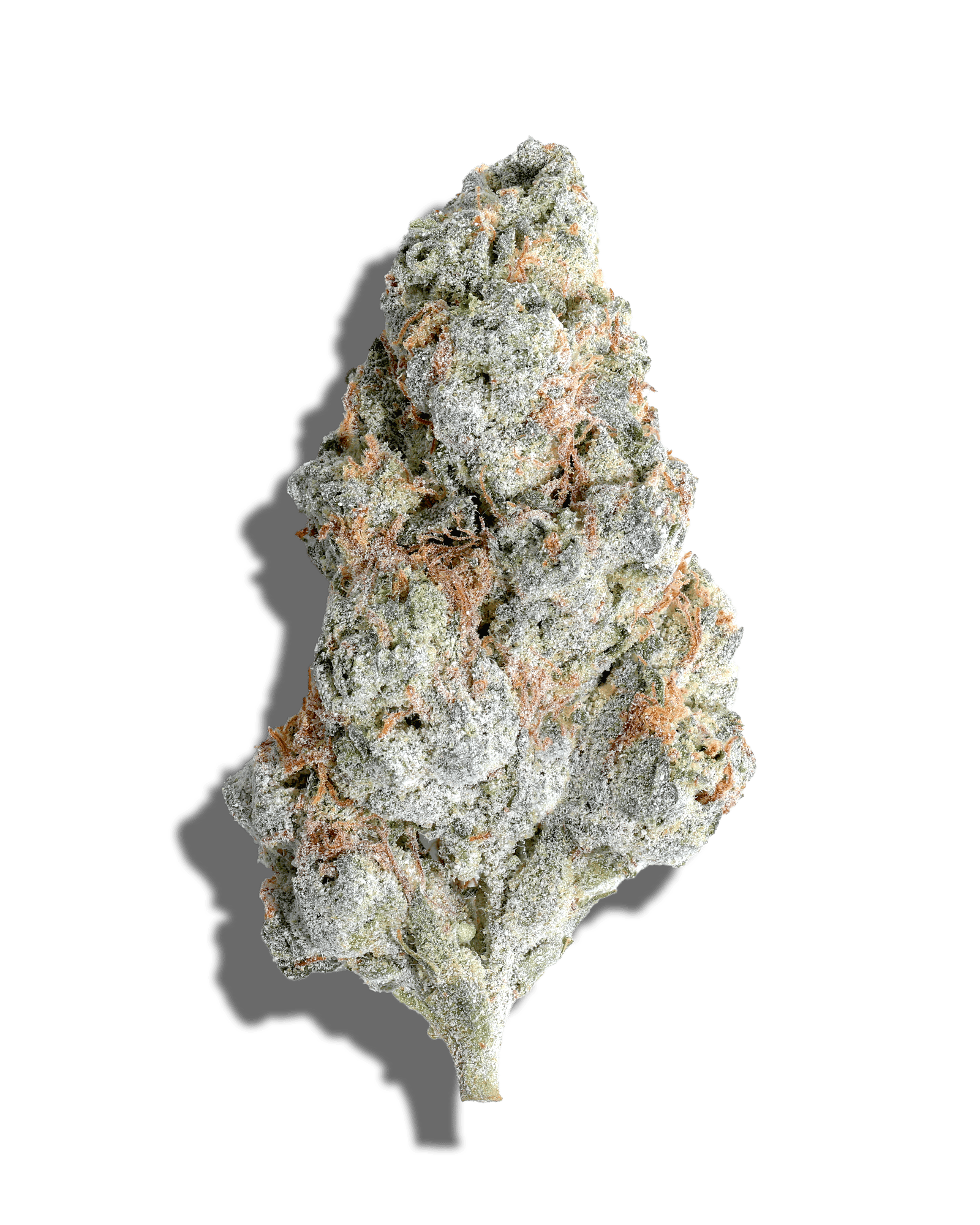 Blueberry Crumble X Sour Gorilla Amp'd Live Resin Infused Flower 5g