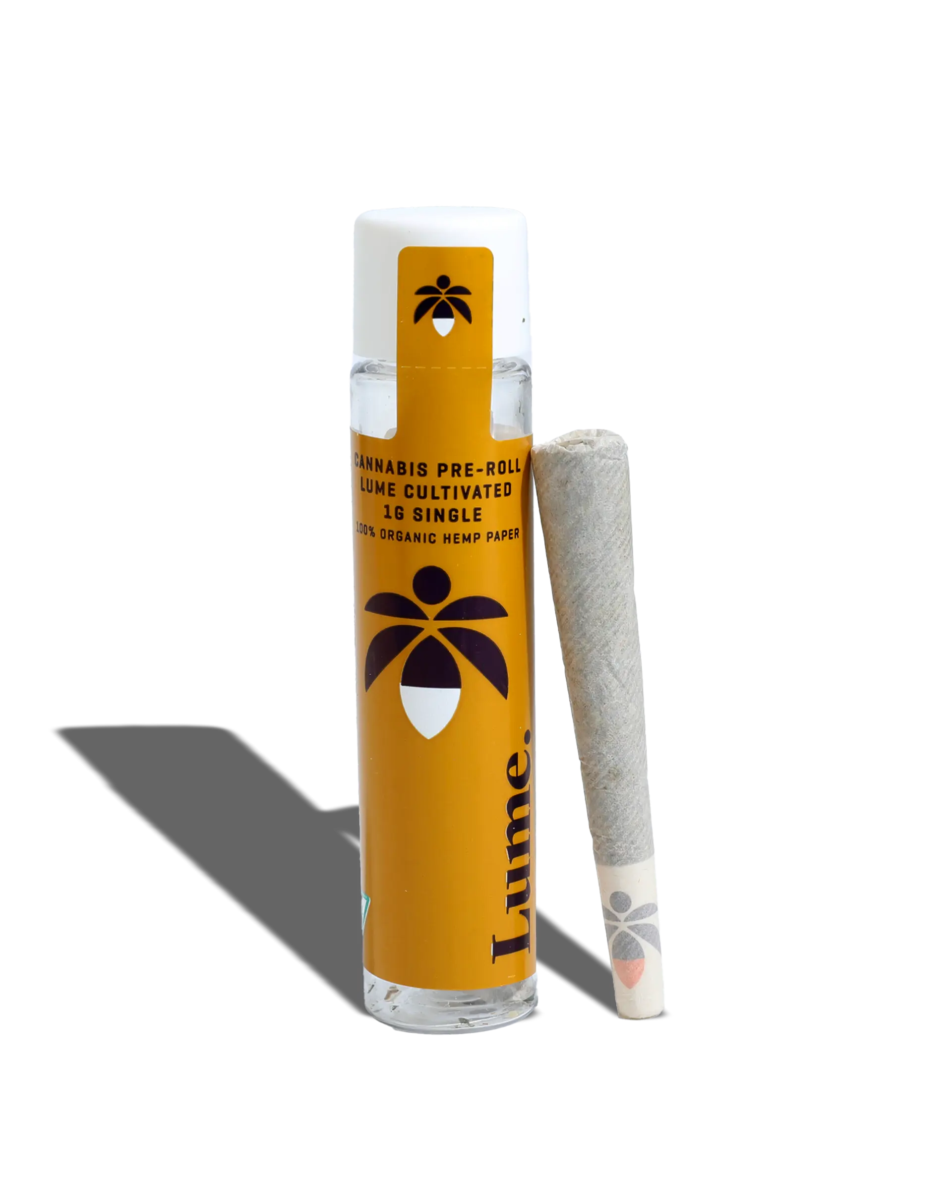Doppelganger Preroll
