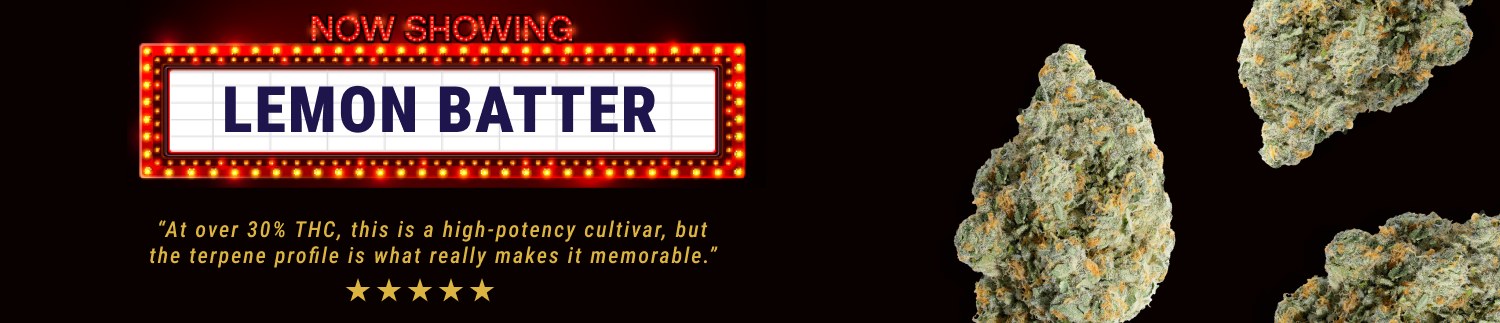 slimHeroDesktop_Oz.png