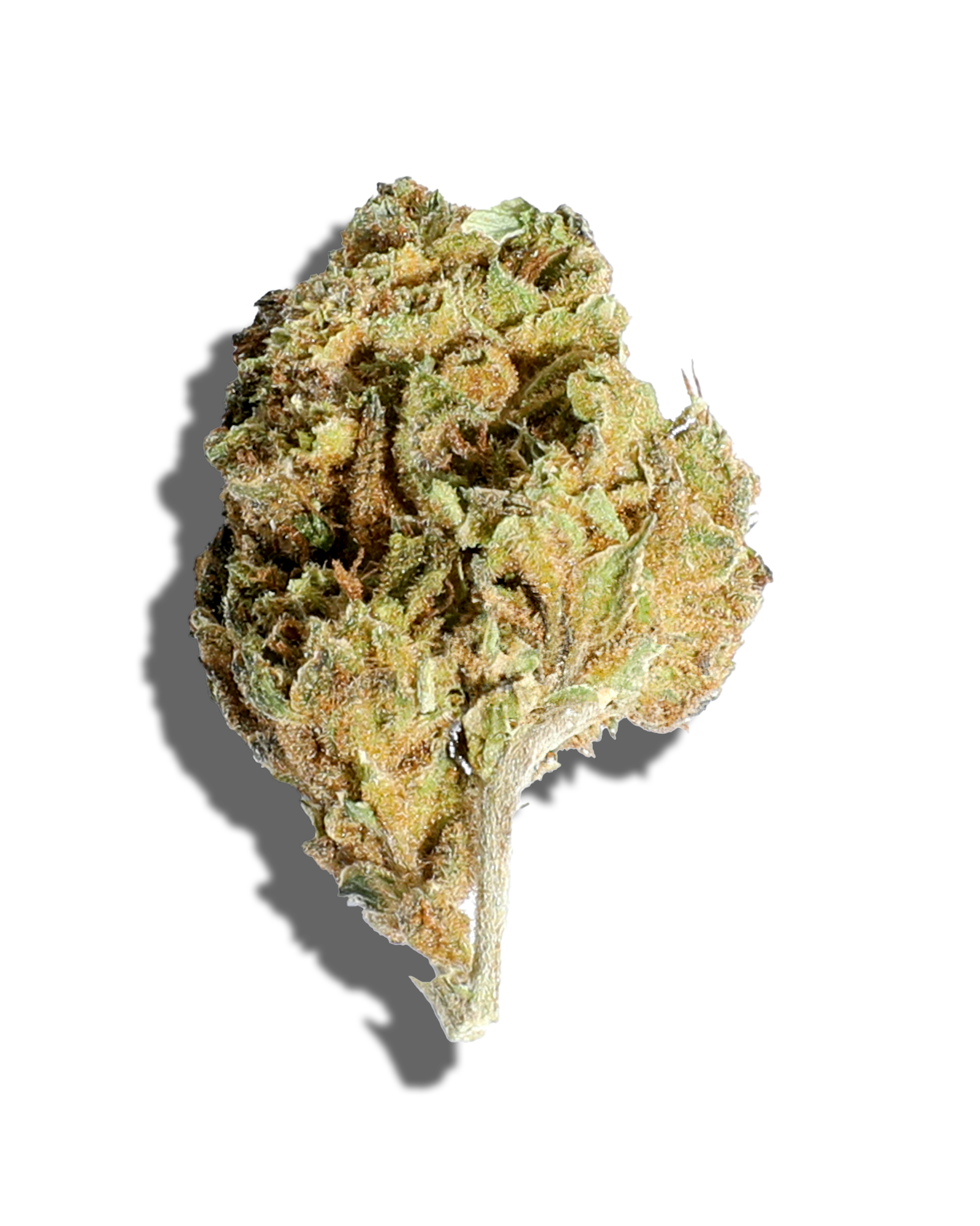 Sungrown Grip Cake 1oz, 1 of 3